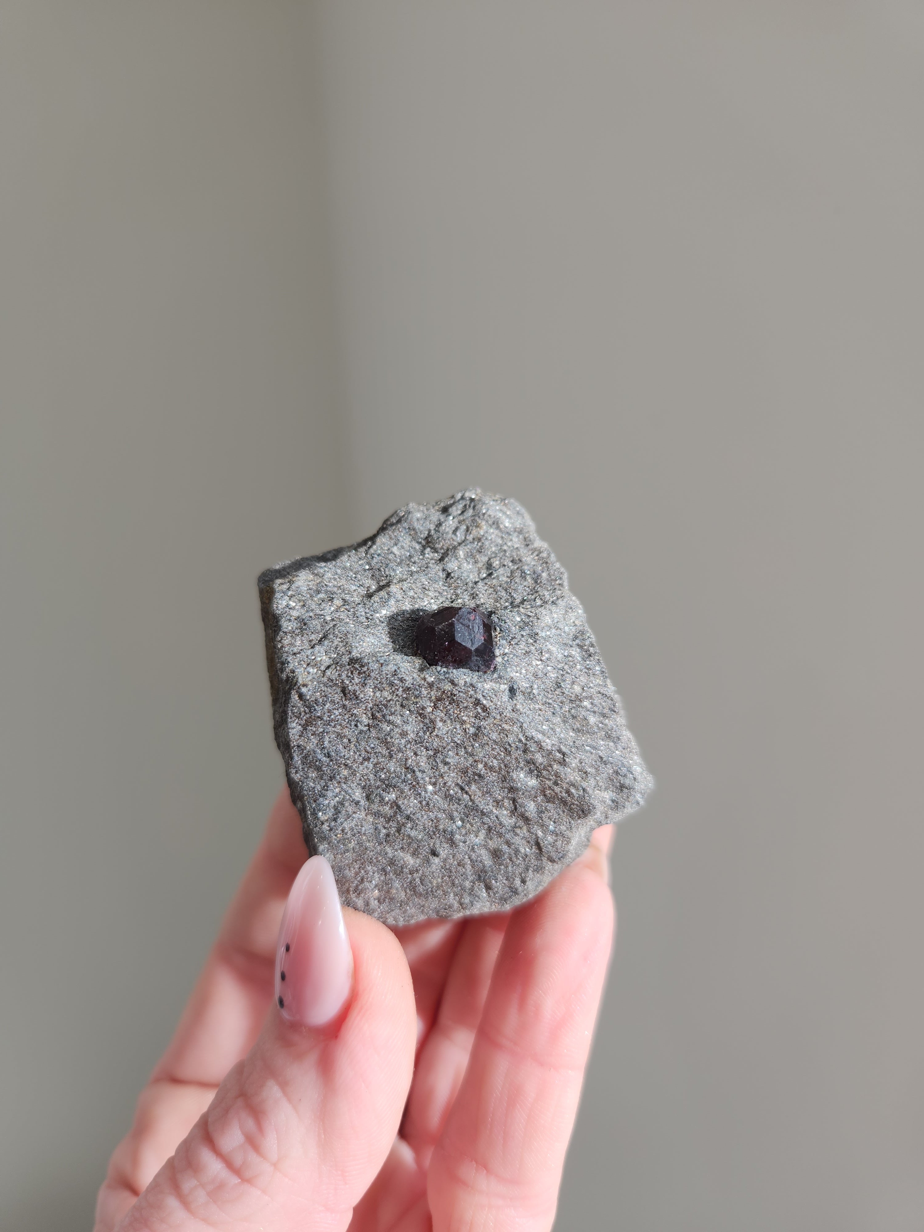 Garnet 005