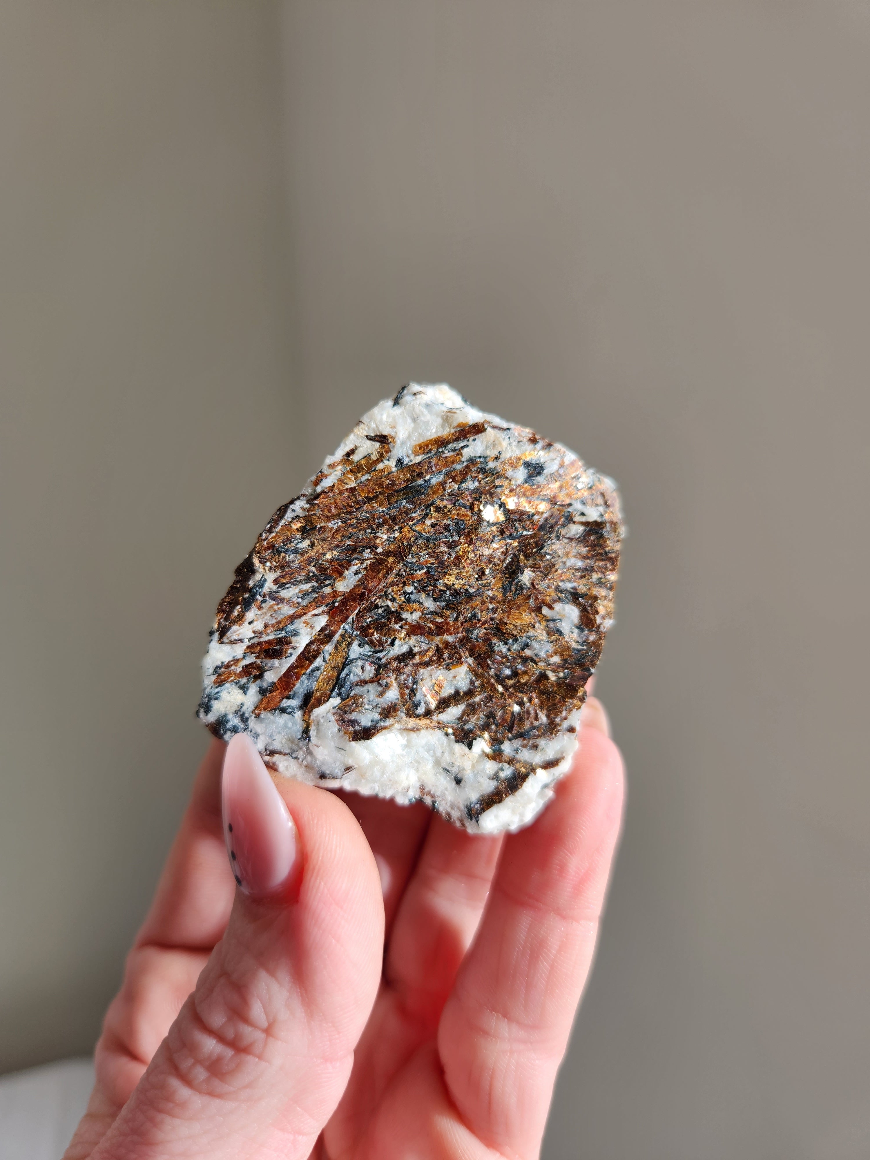 Astrophyllite 002