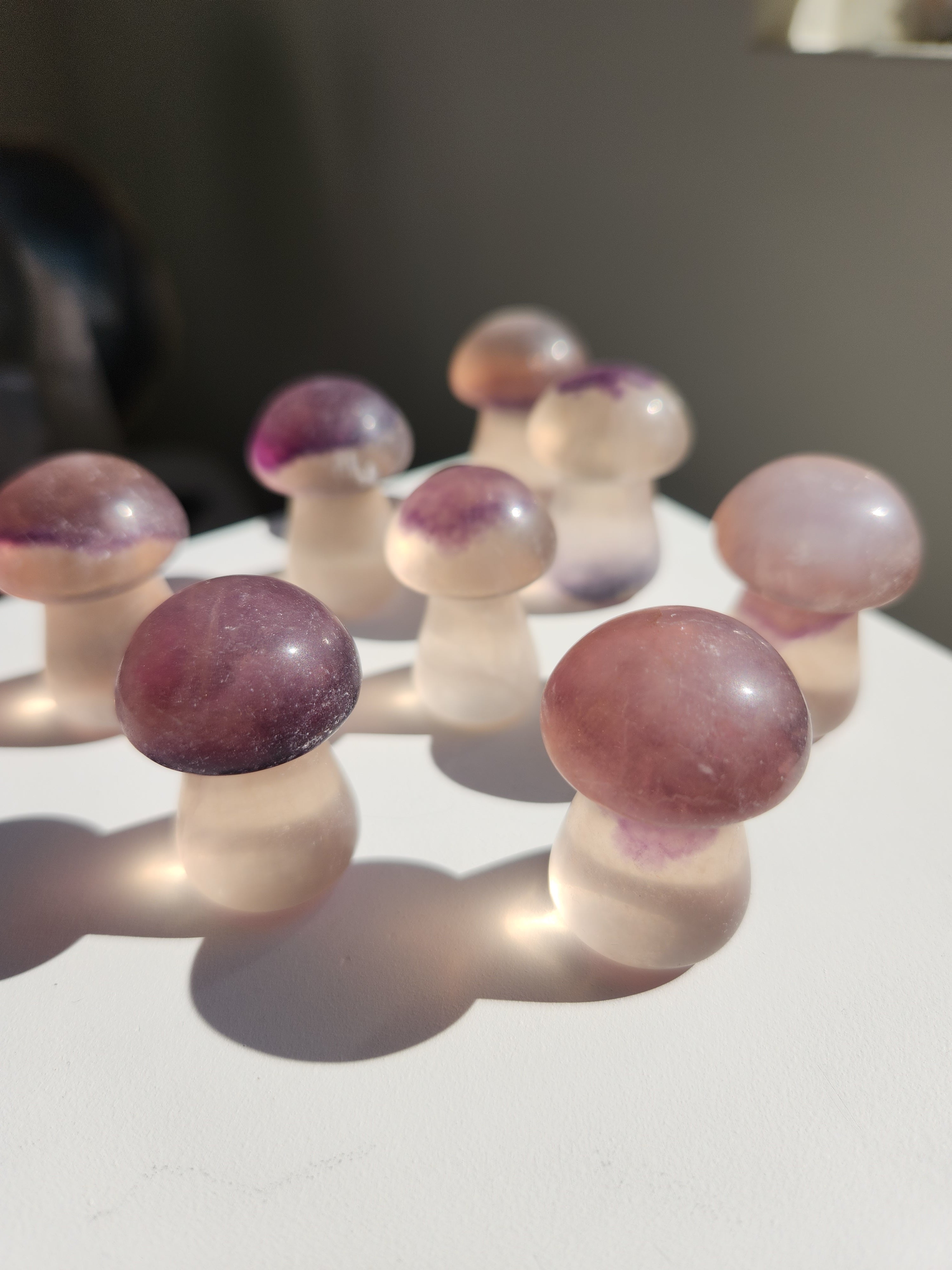 Fluorite Mushrooms
