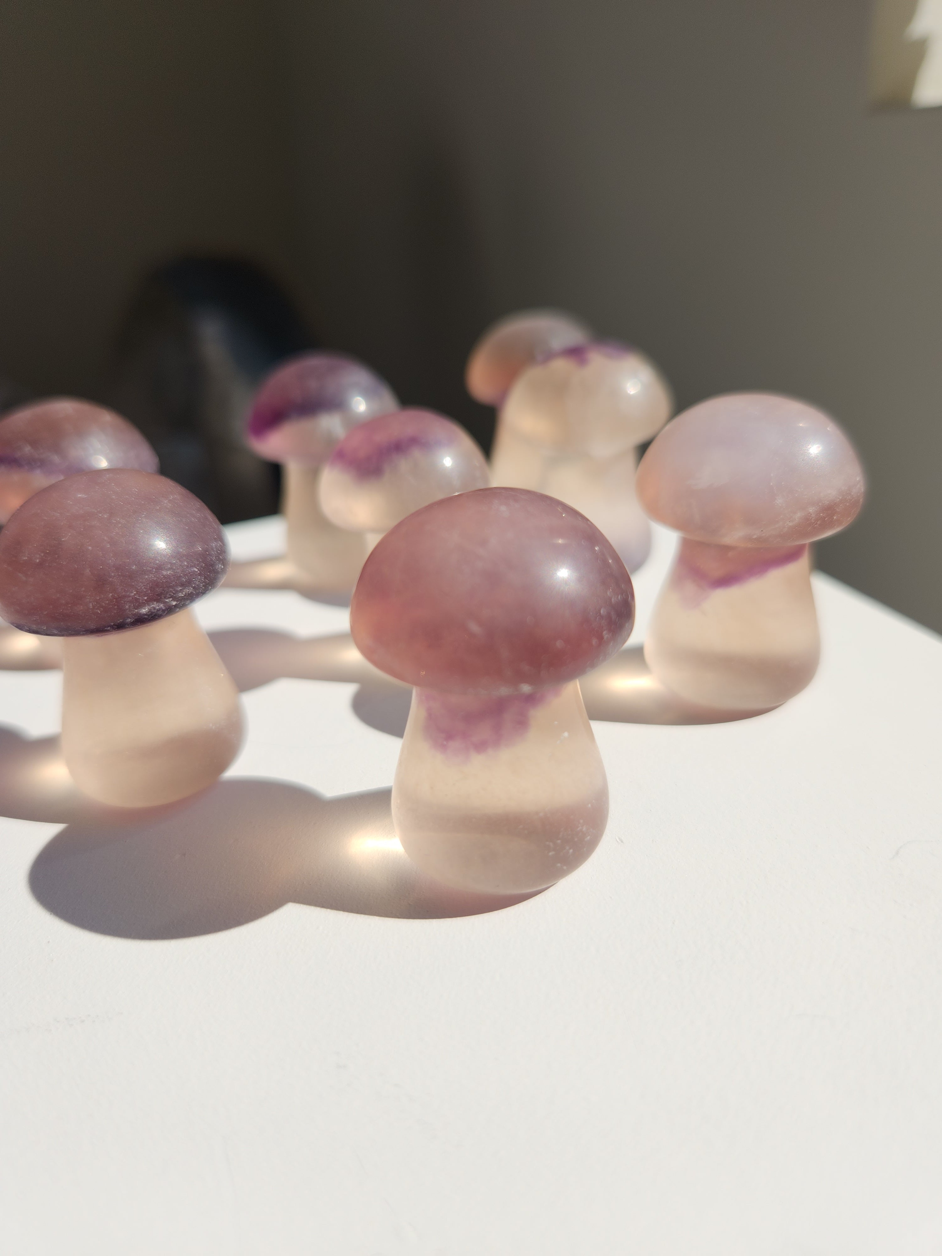 Fluorite Mushrooms