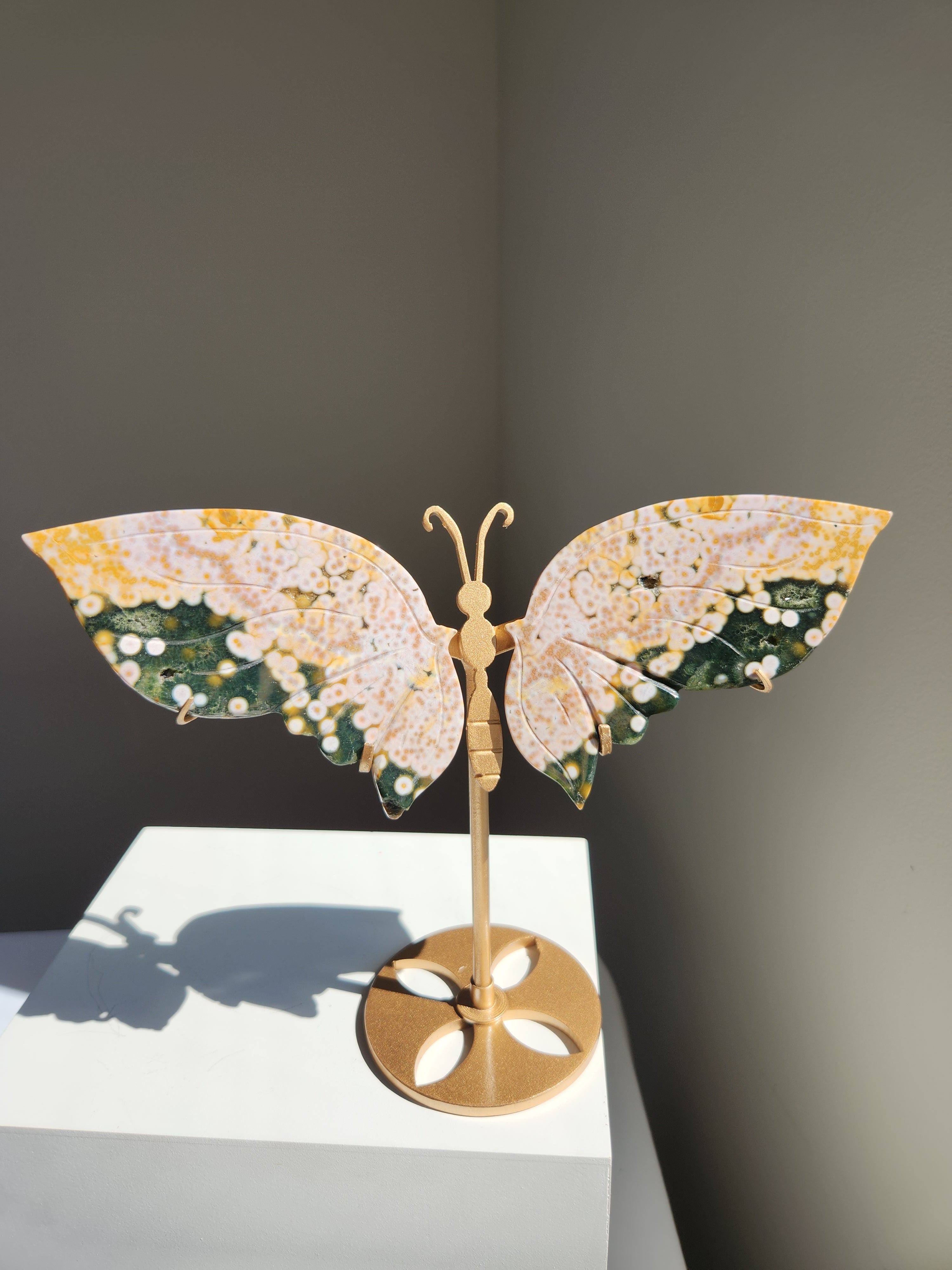 Ocean Jasper Butterfly 003