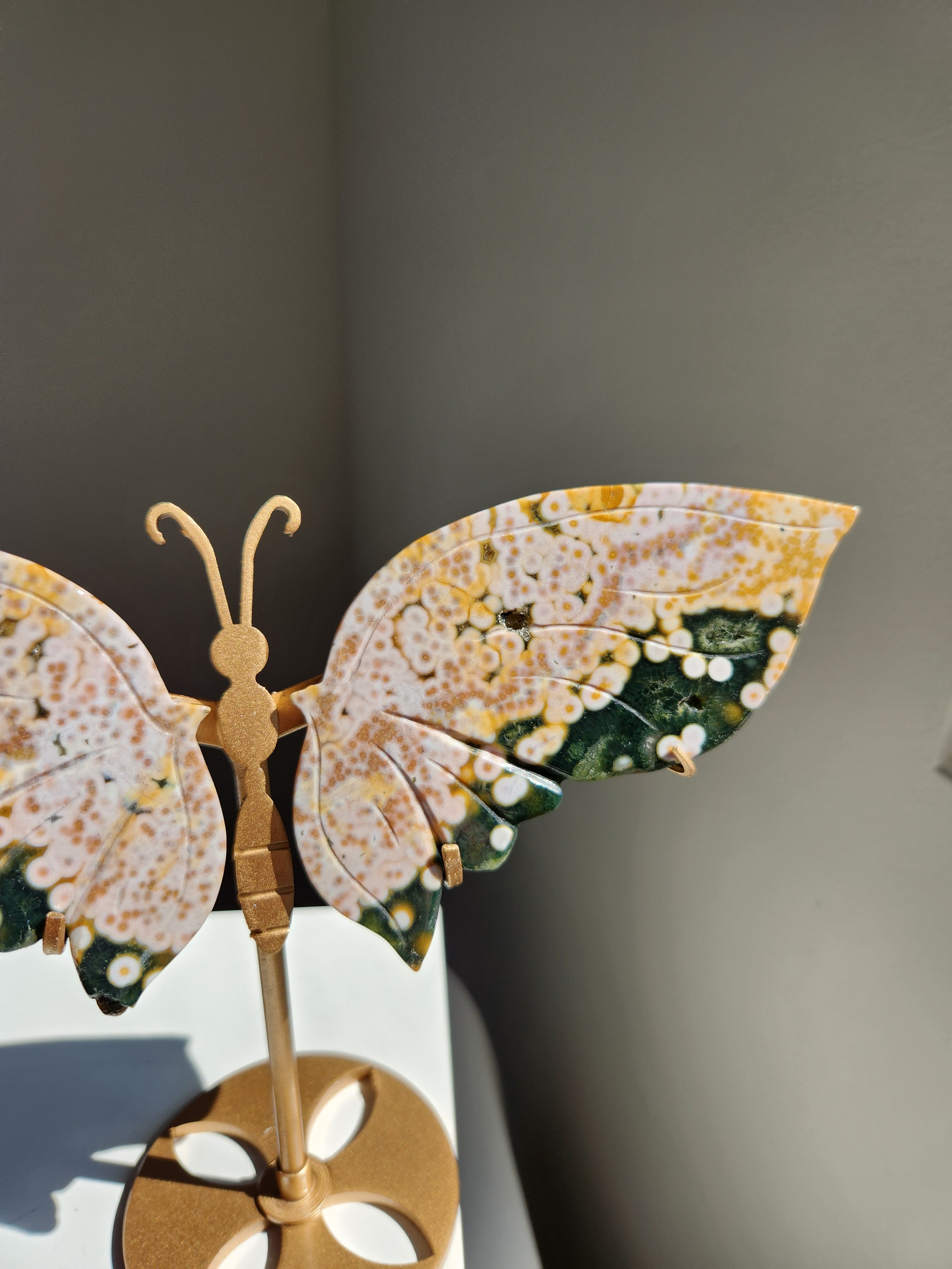 Ocean Jasper Butterfly 003