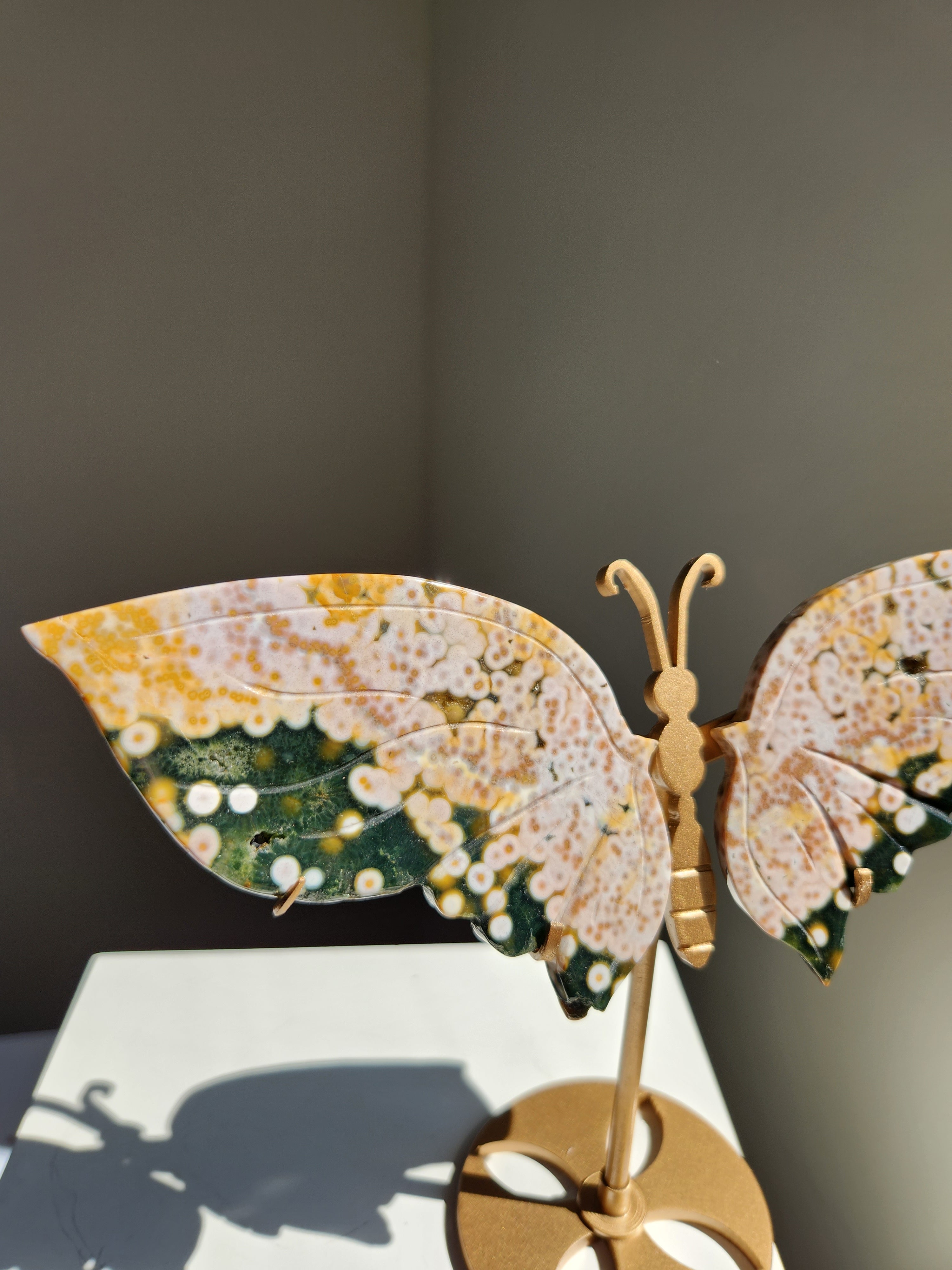 Ocean Jasper Butterfly 003