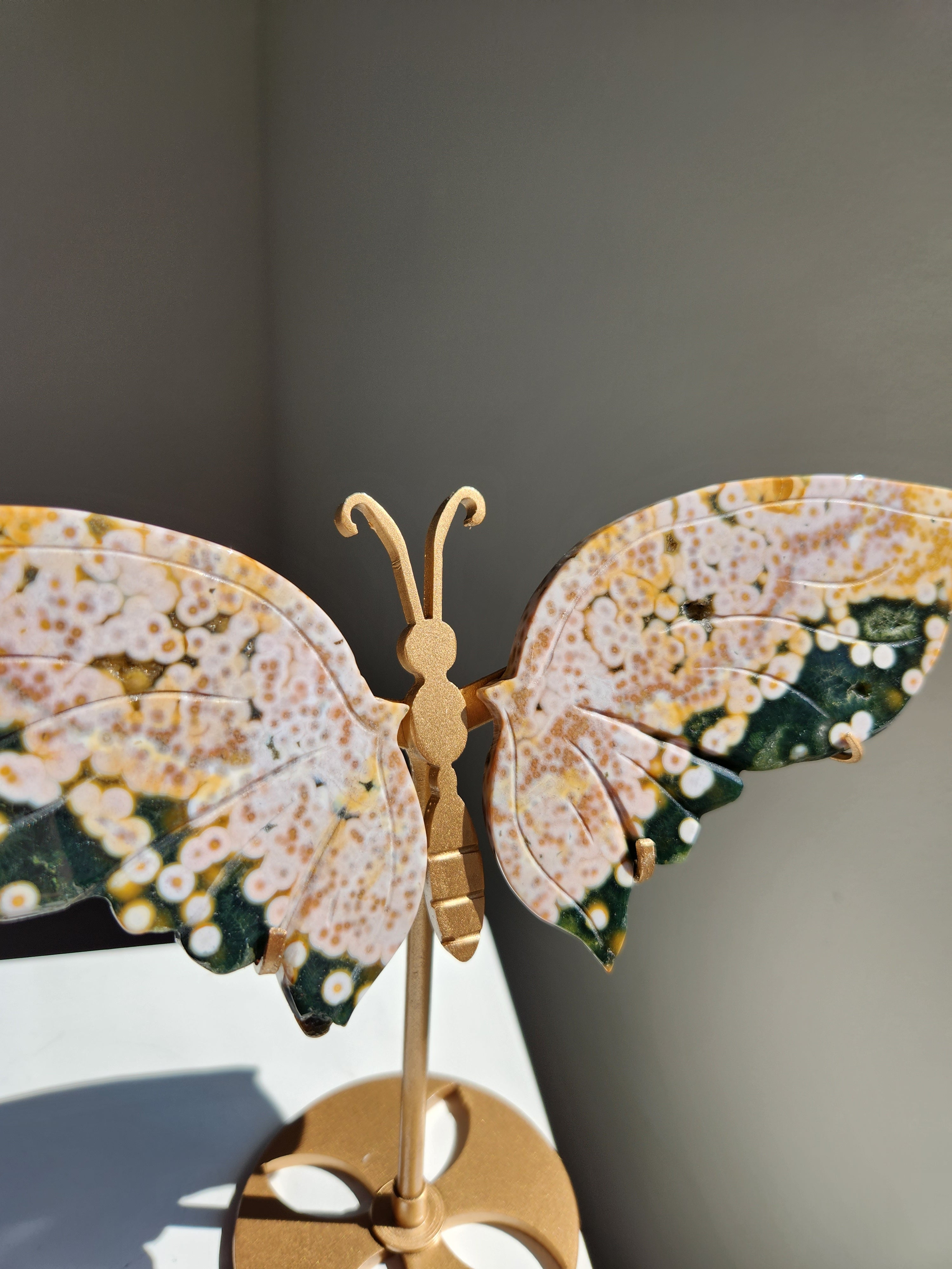 Ocean Jasper Butterfly 003