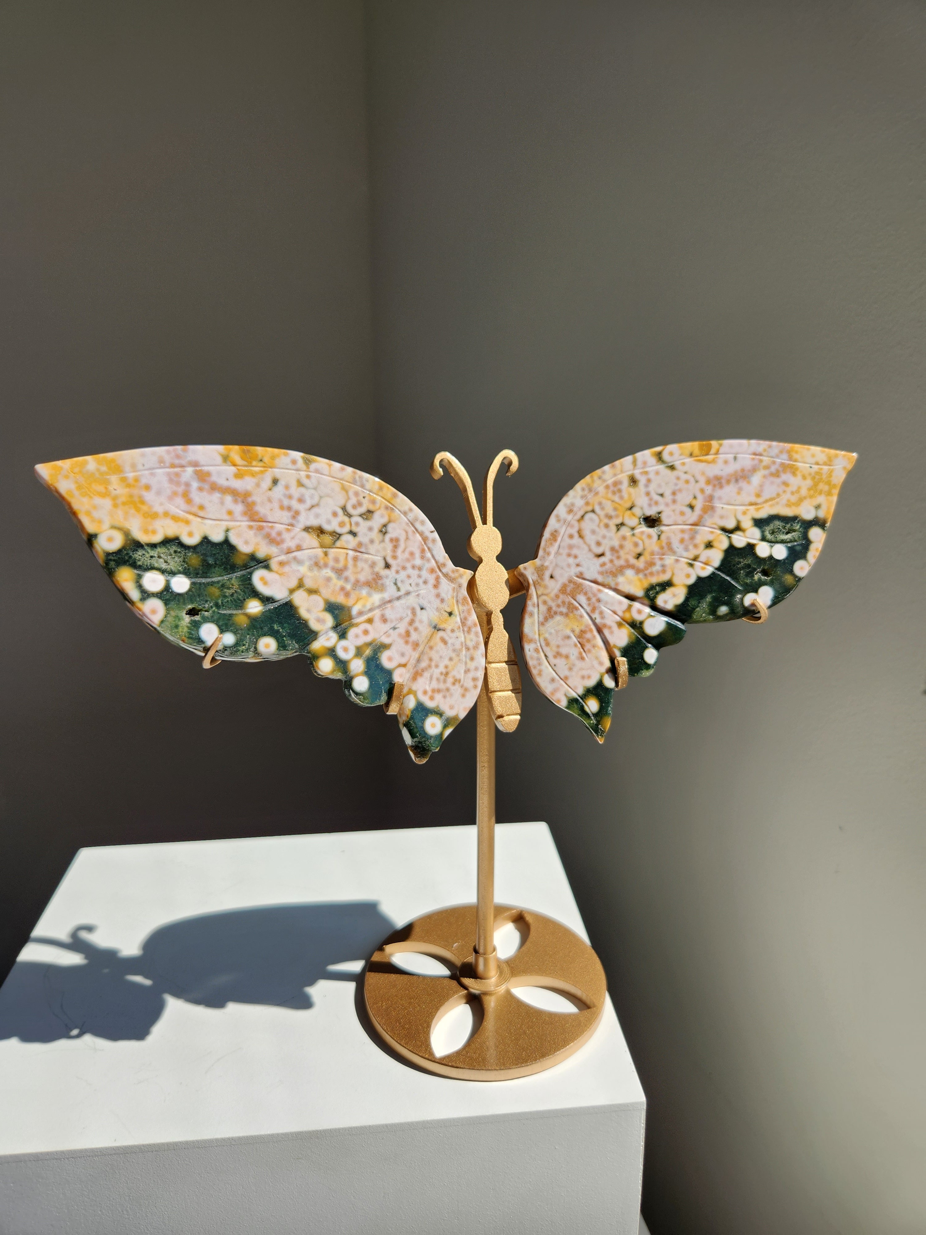 Ocean Jasper Butterfly 003