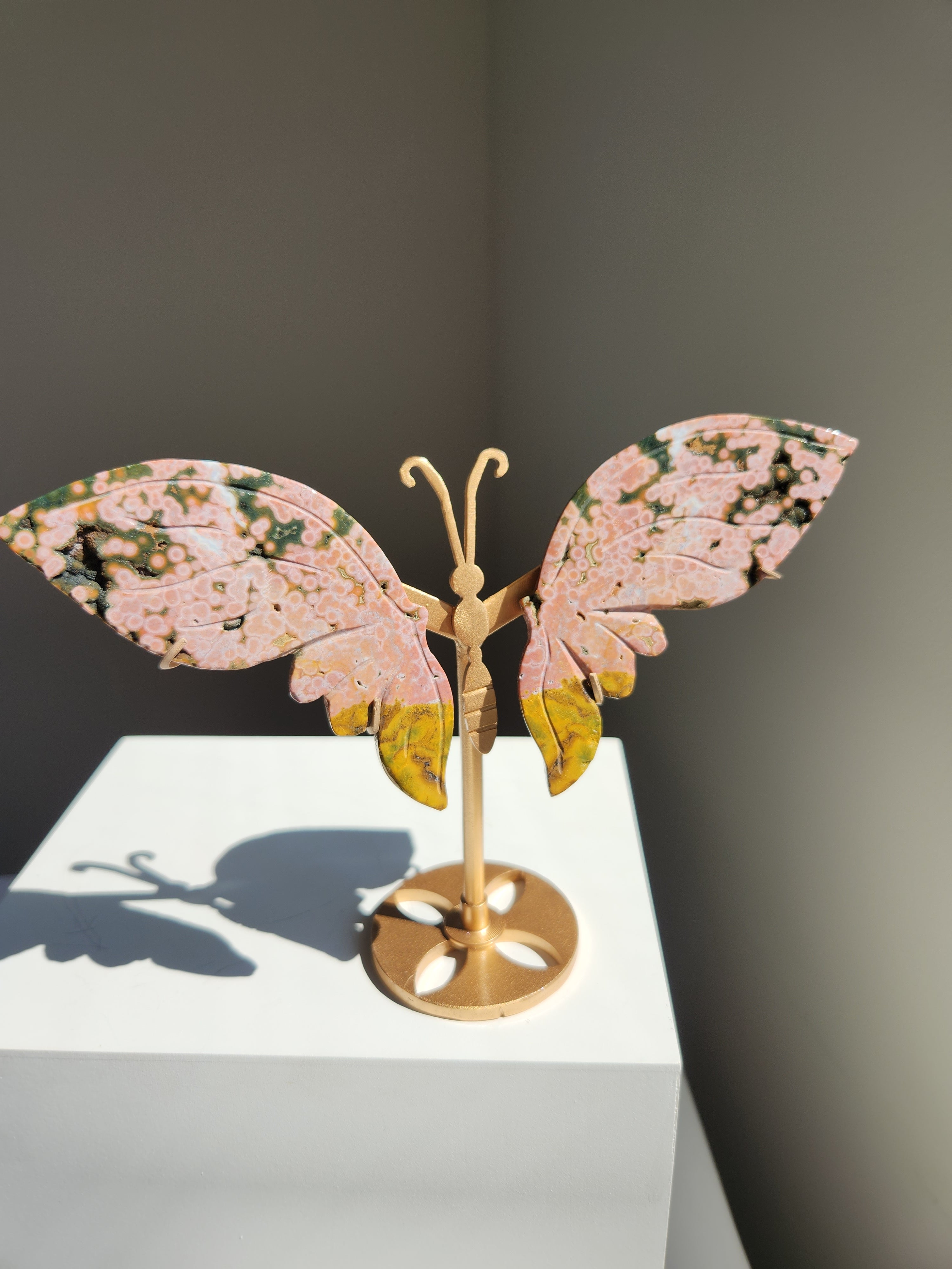 Ocean Jasper Butterfly 005