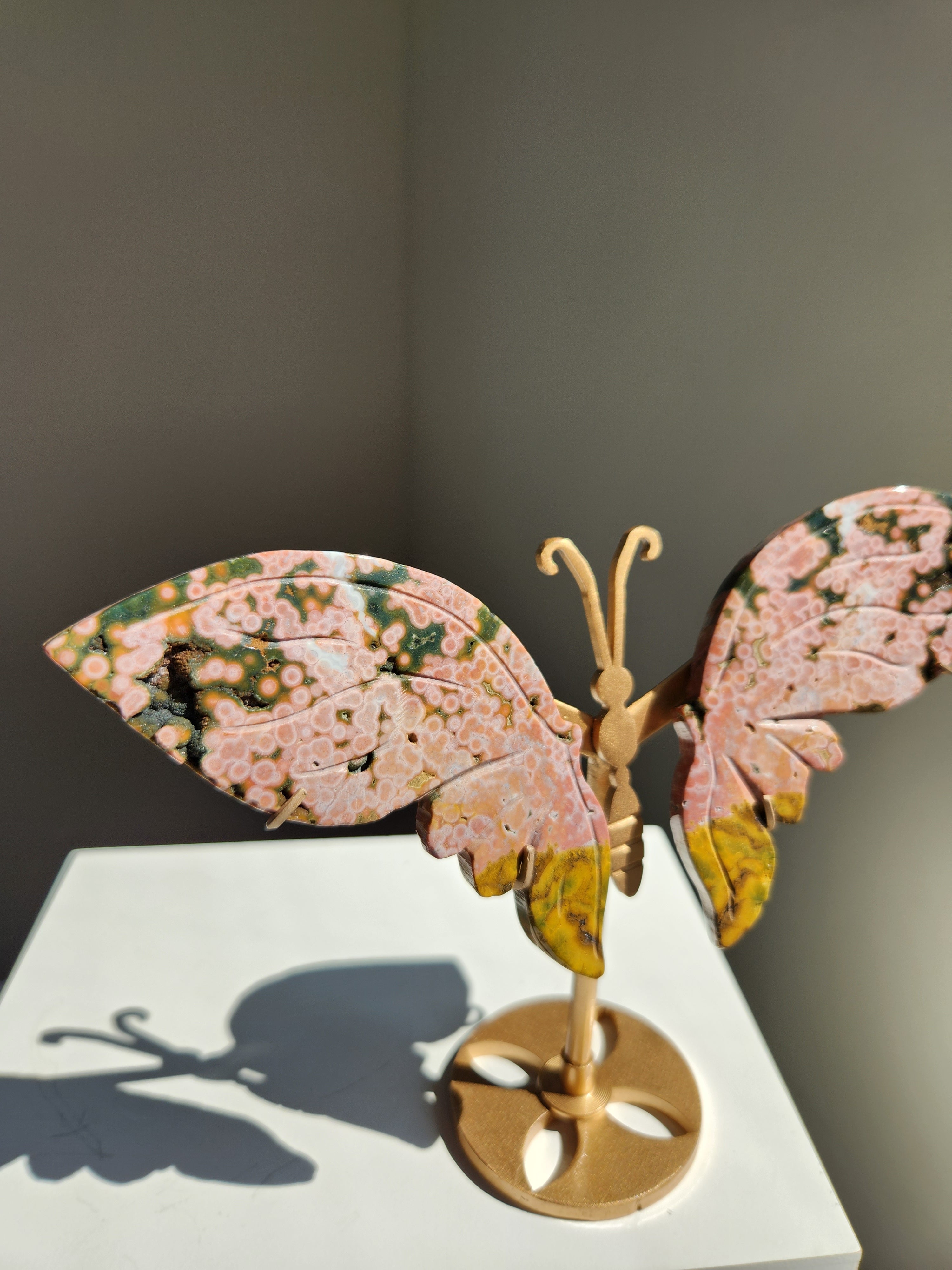 Ocean Jasper Butterfly 005