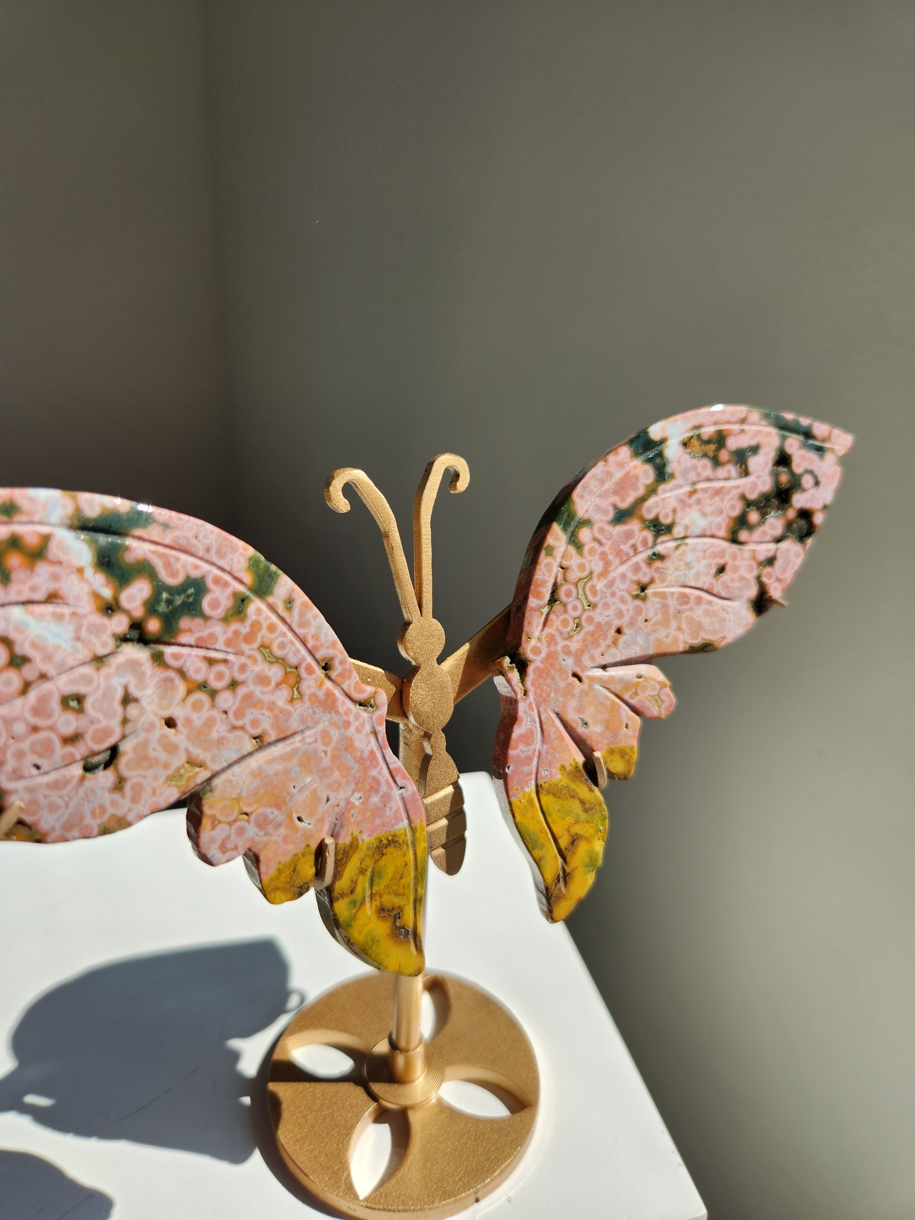 Ocean Jasper Butterfly 005