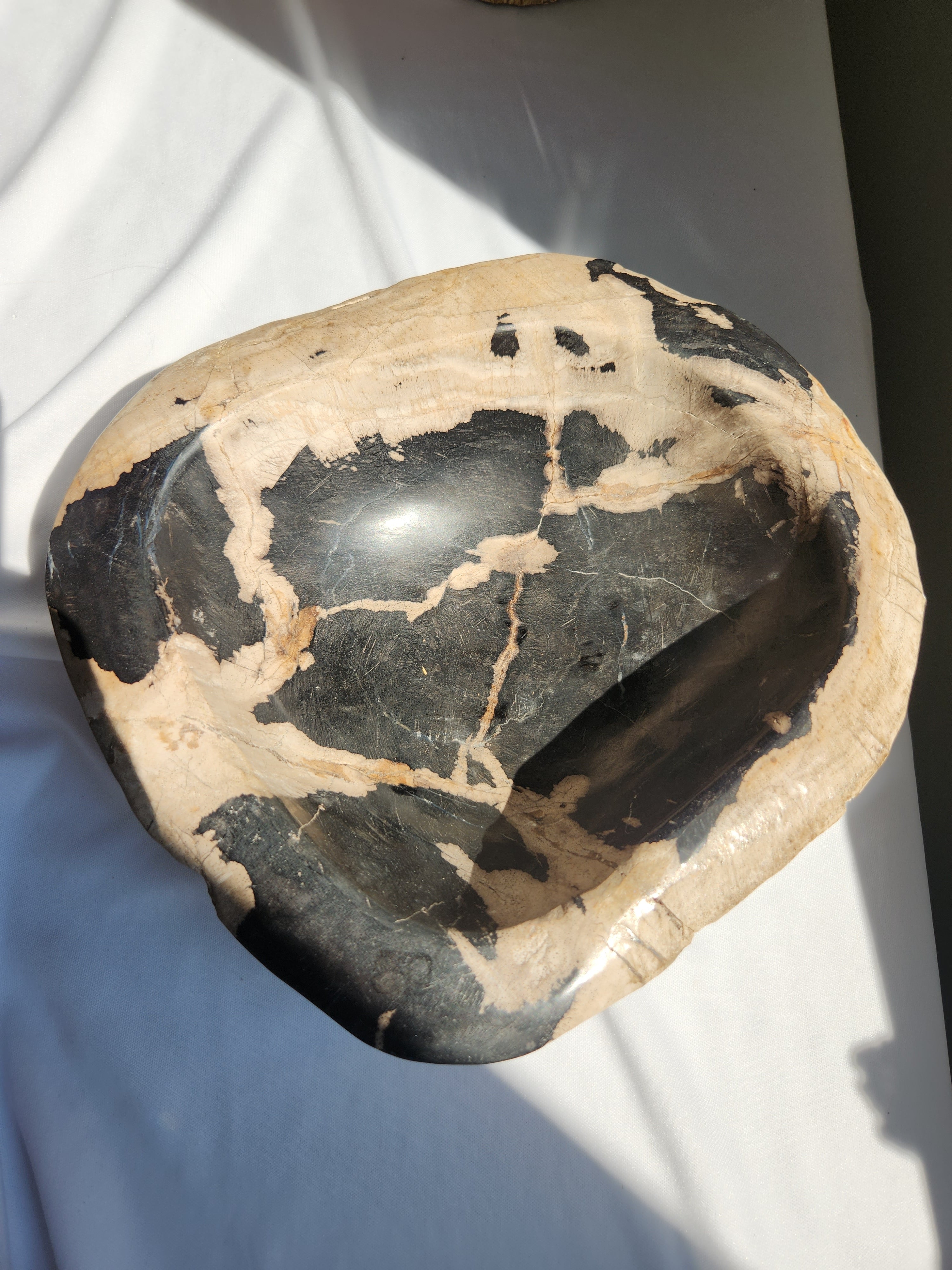 Petrified Wood Bowl 002