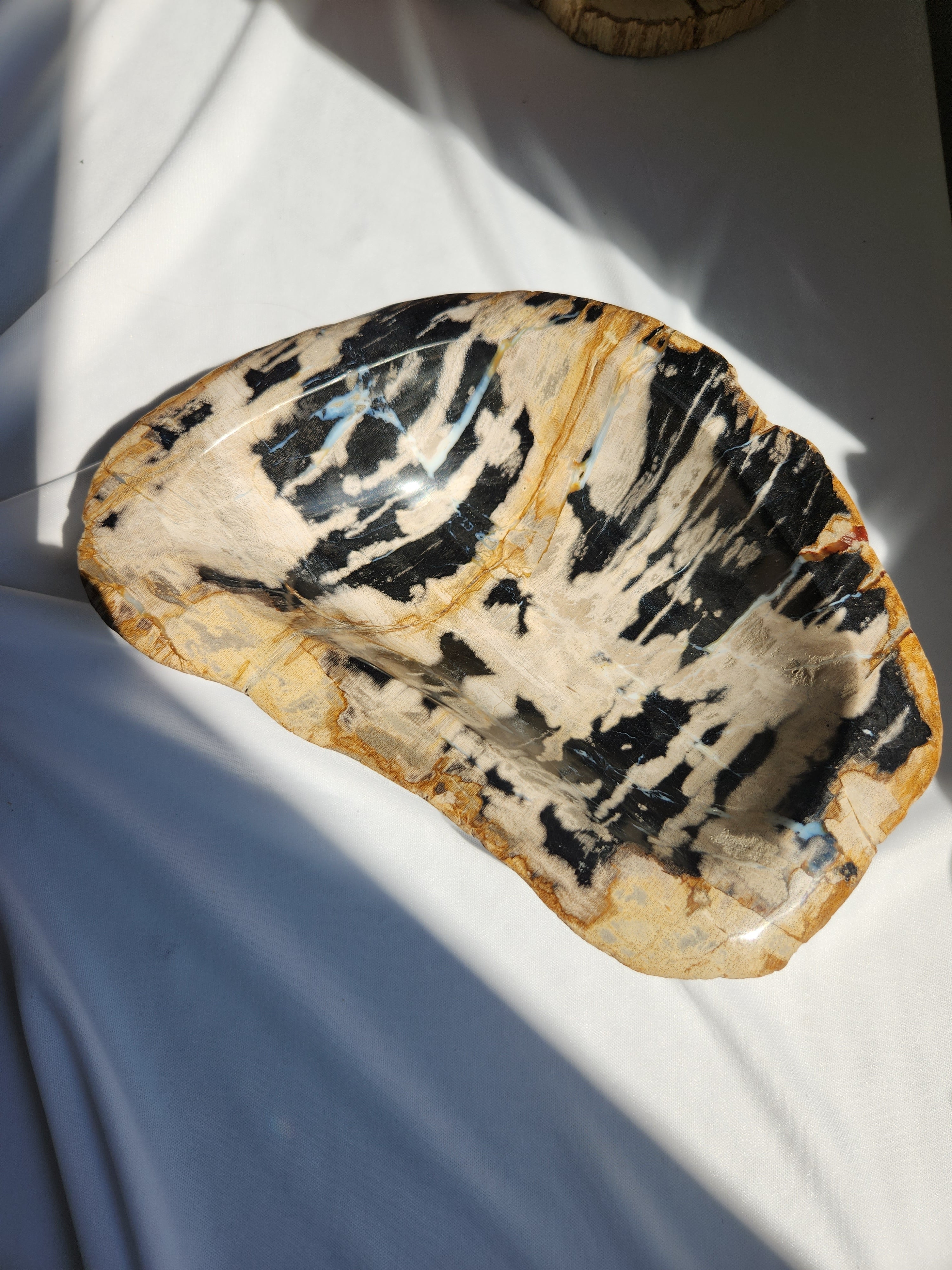Petrified Wood Bowl 003