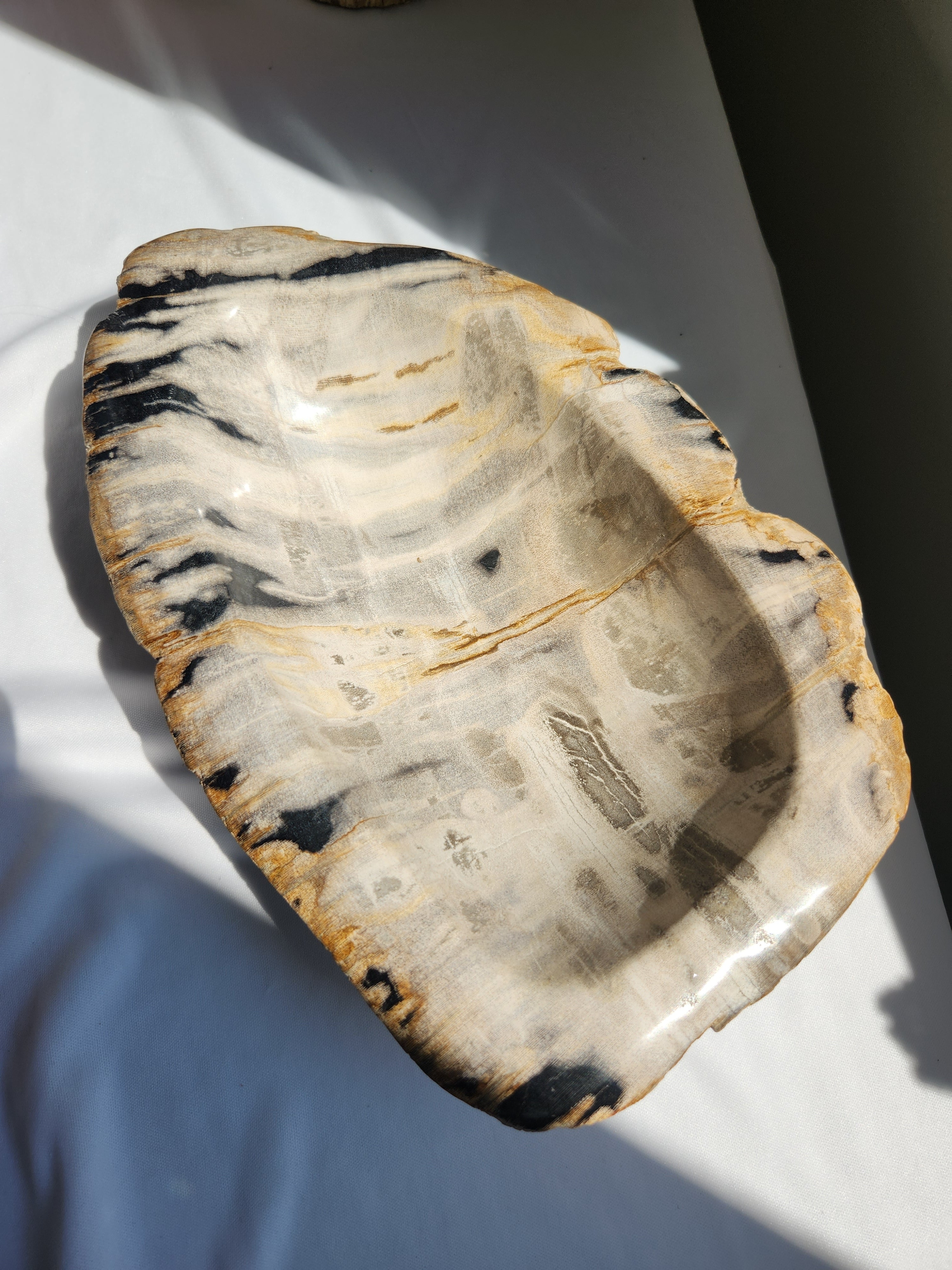 Petrified Wood Bowl 005
