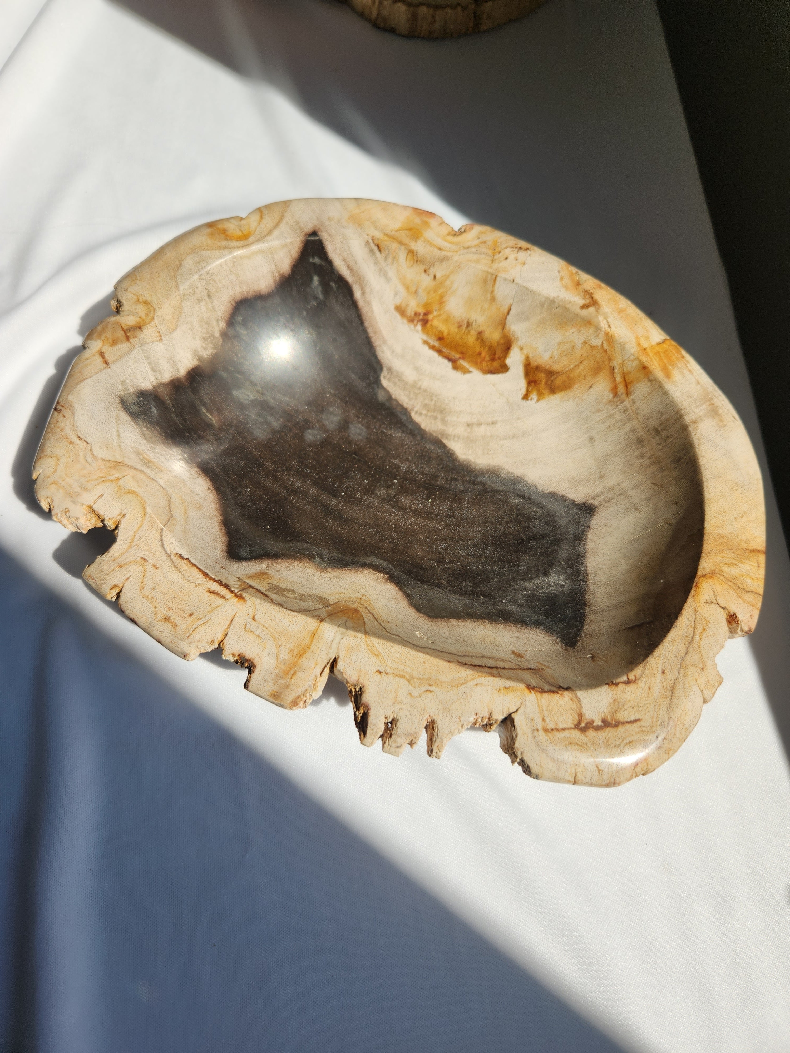 Petrified Wood Bowl 006