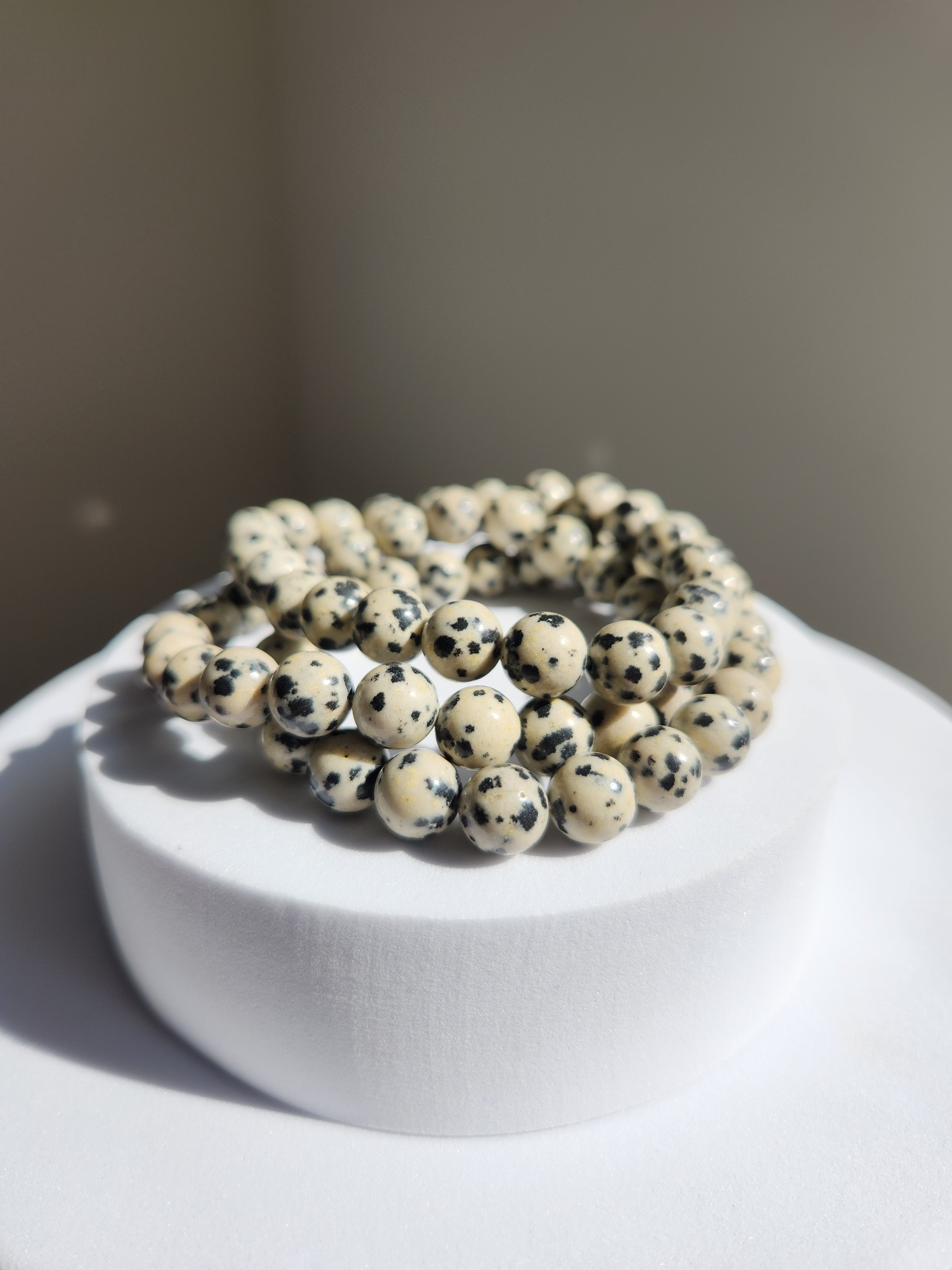 Dalmation Jasper Bracelet | 6mm