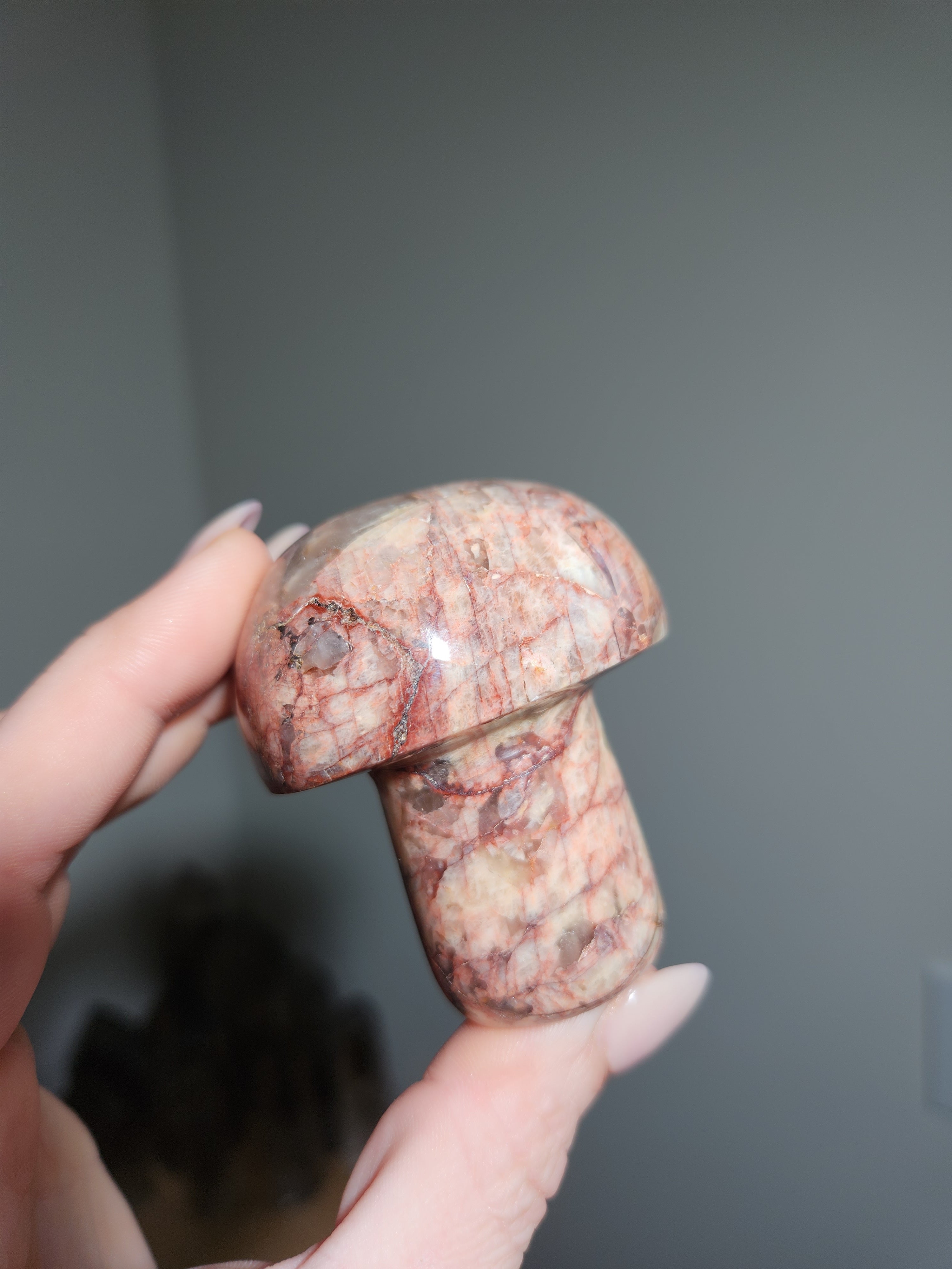 Agate Mushroom 001