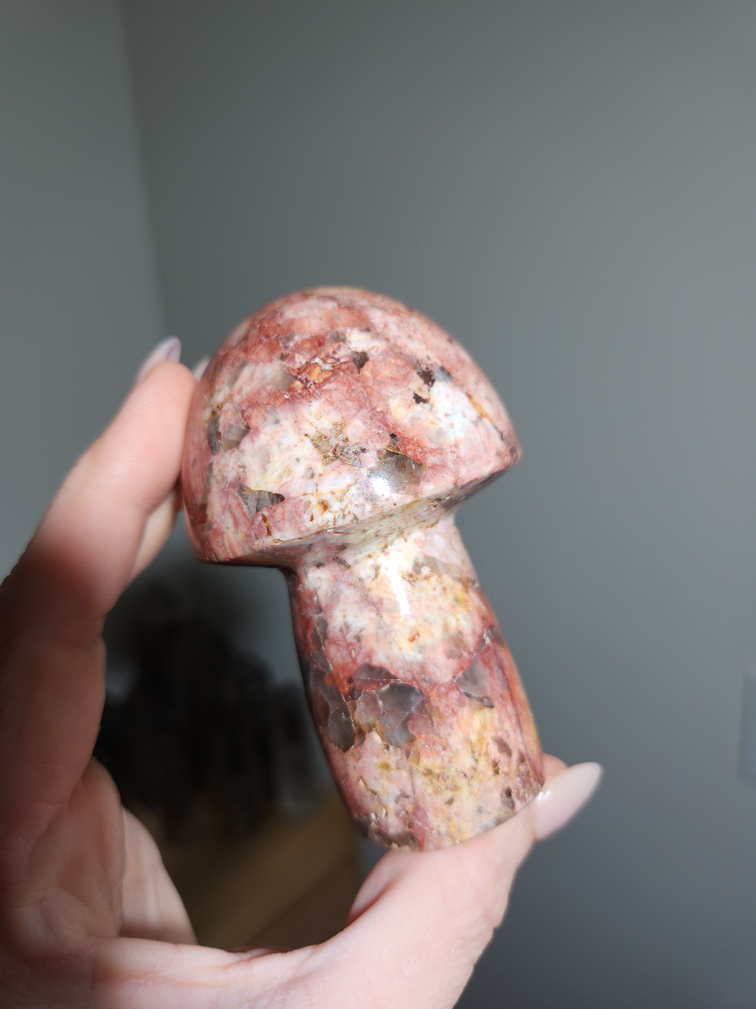 Agate Mushroom 003