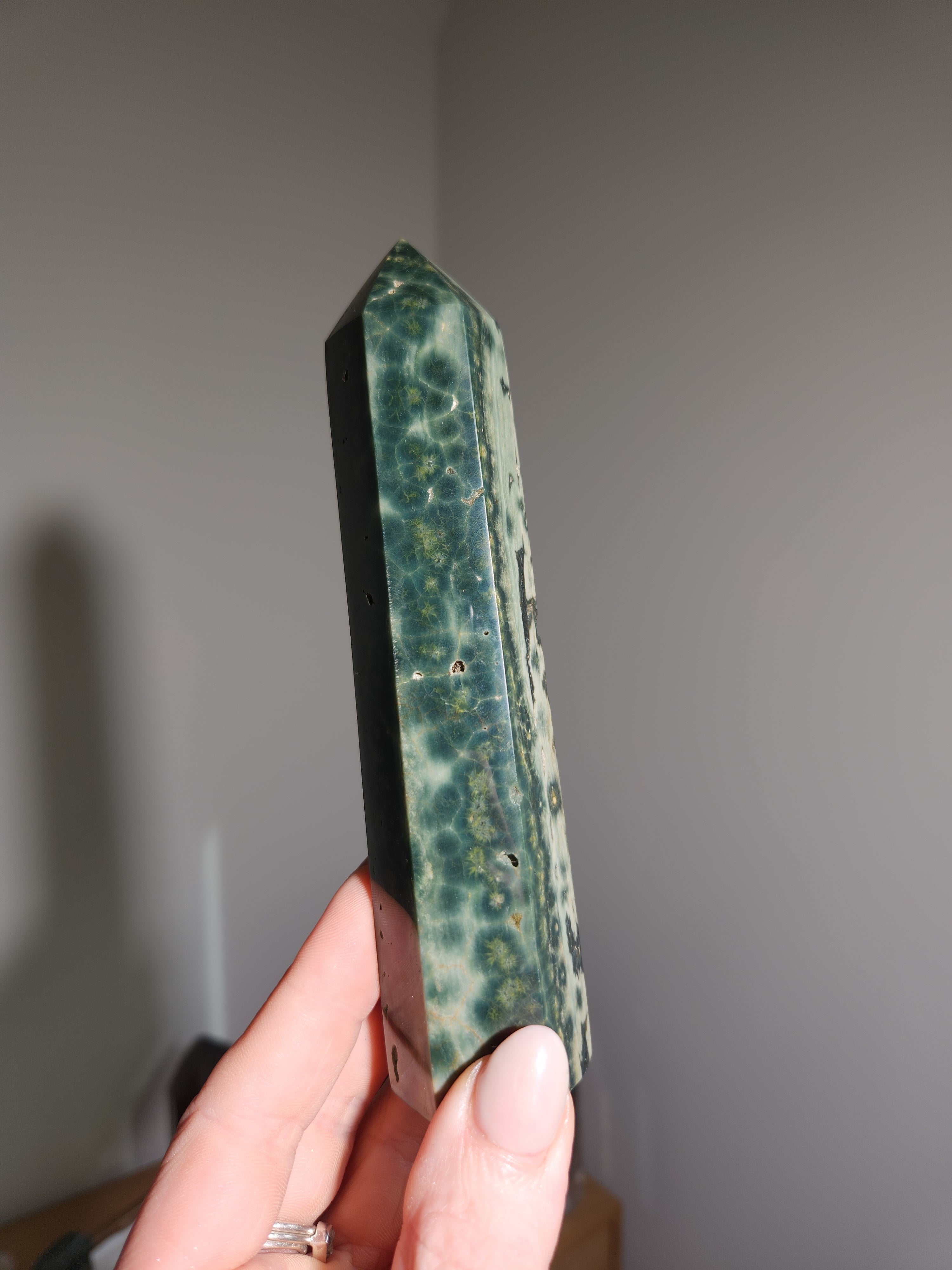 Sea Jasper Tower 004