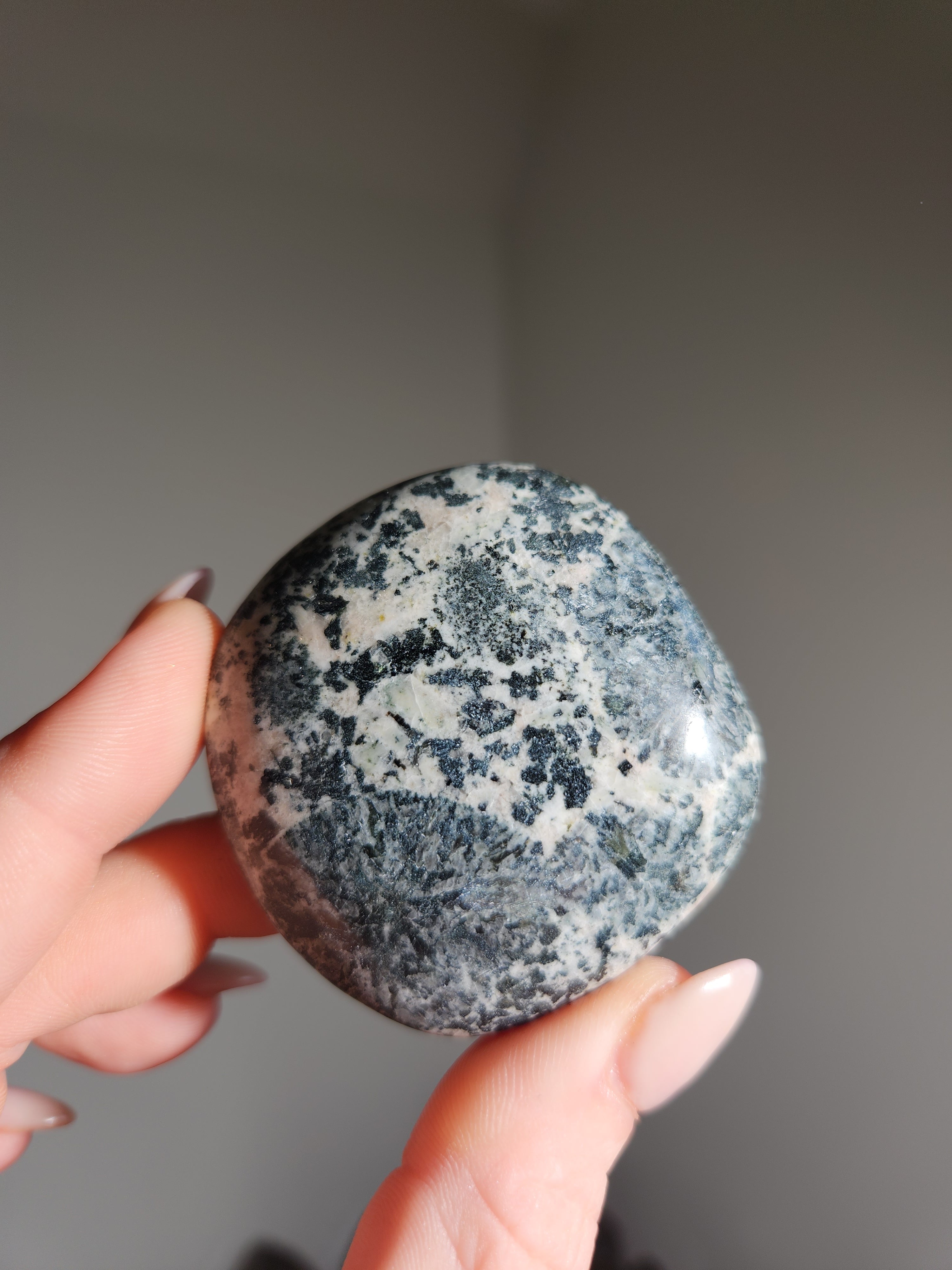 Orbicular Jasper Palmstone 001