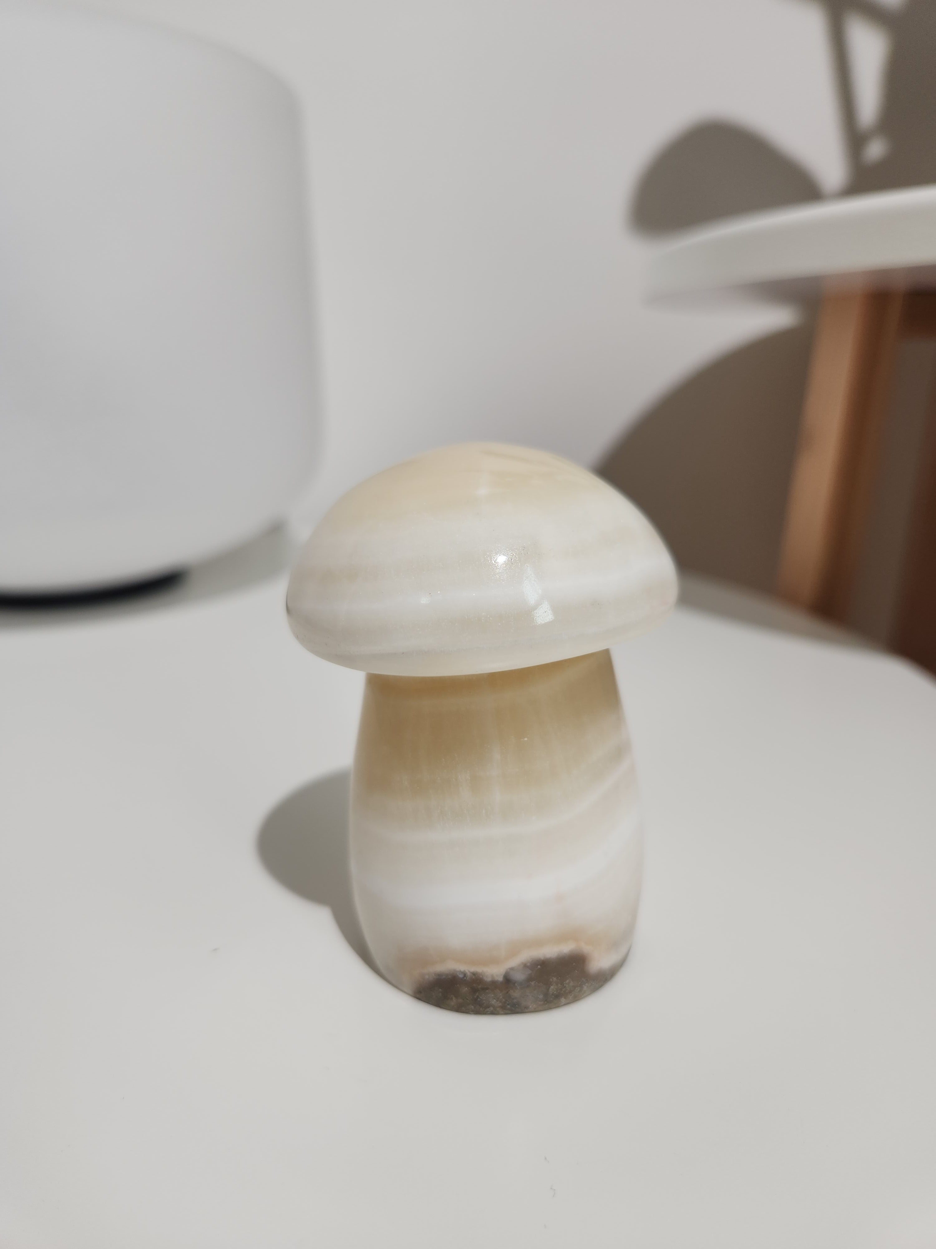 Onyx Mushroom 001