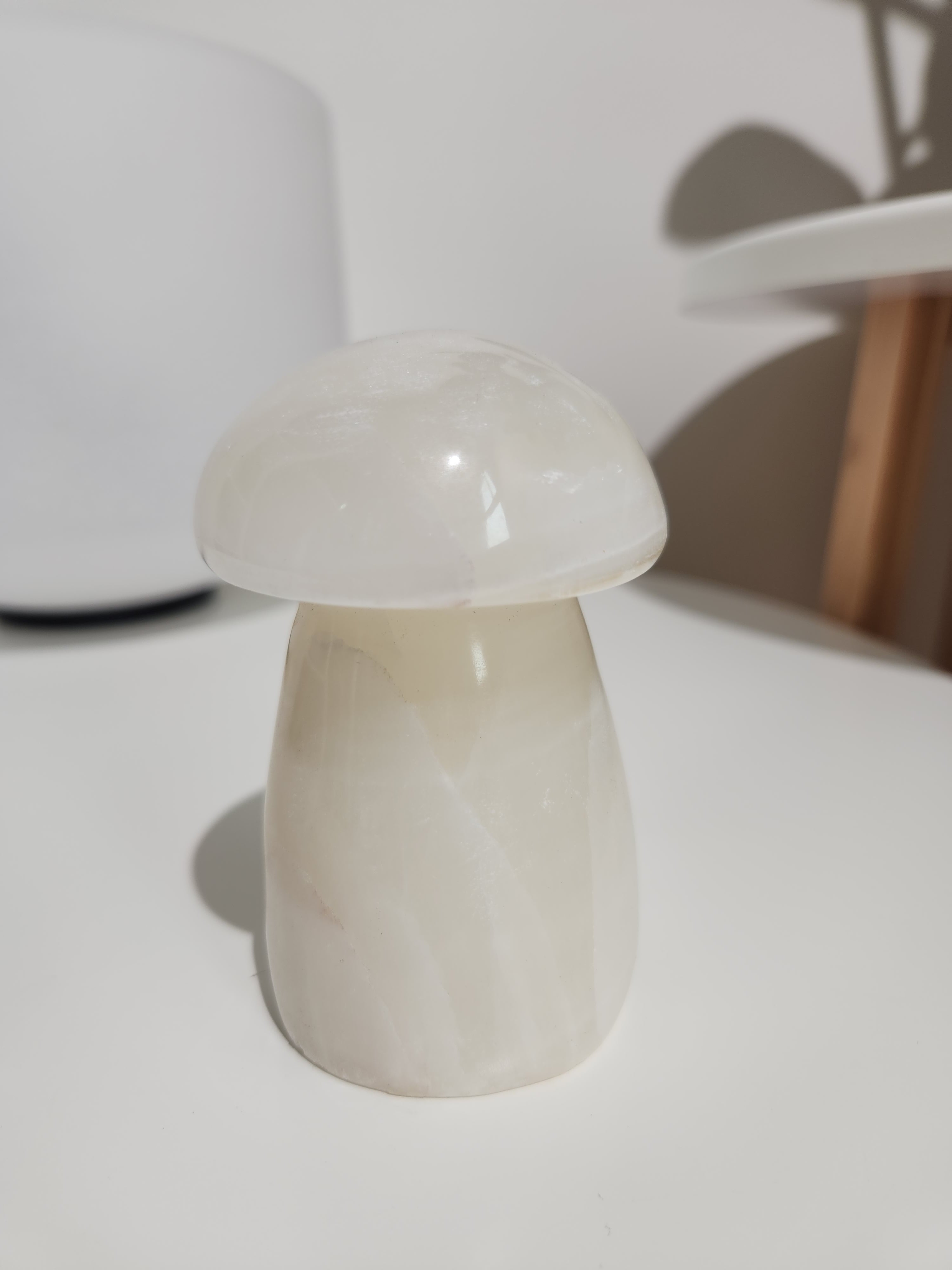 Onyx Mushroom 005
