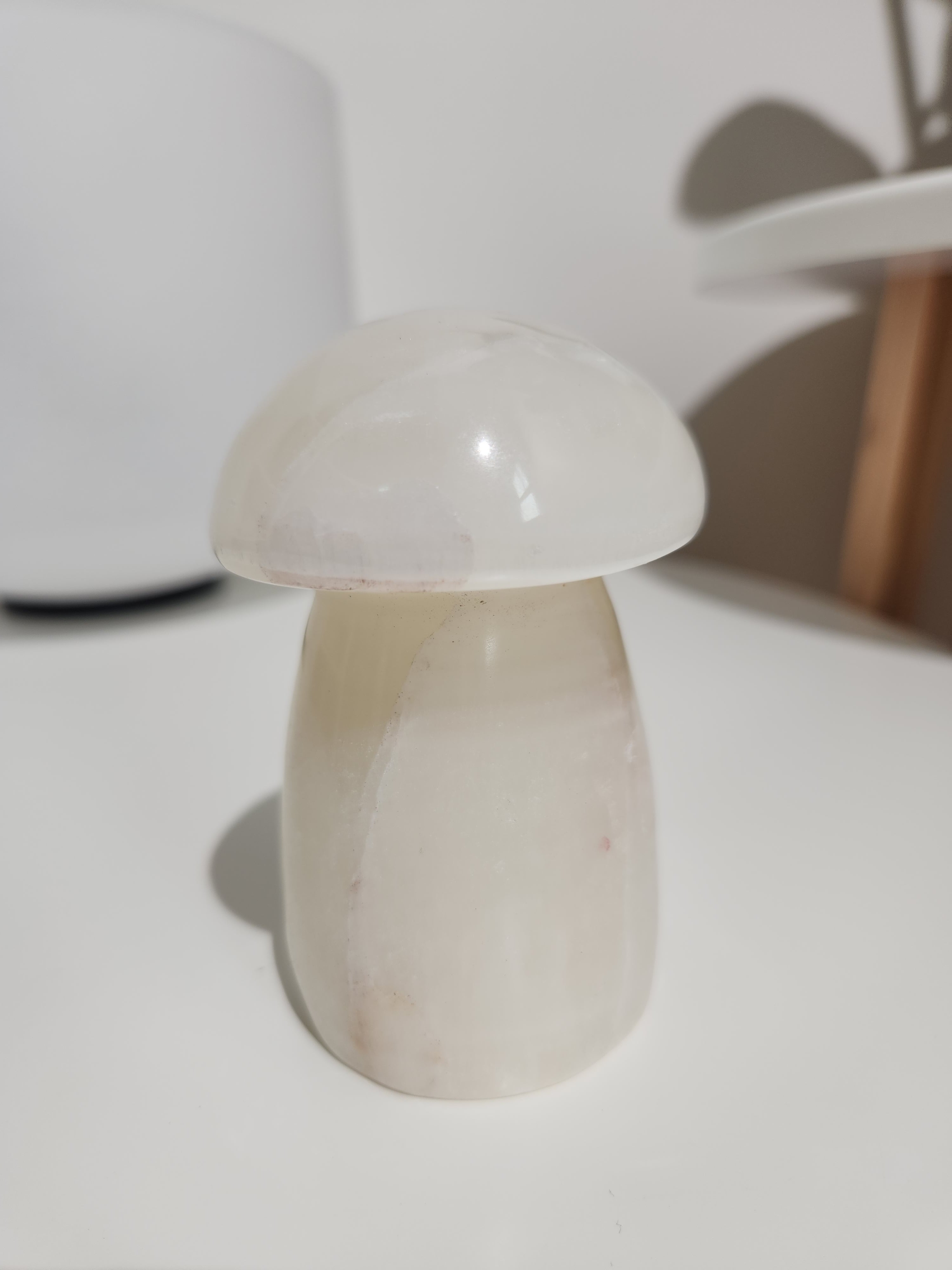 Onyx Mushroom 005