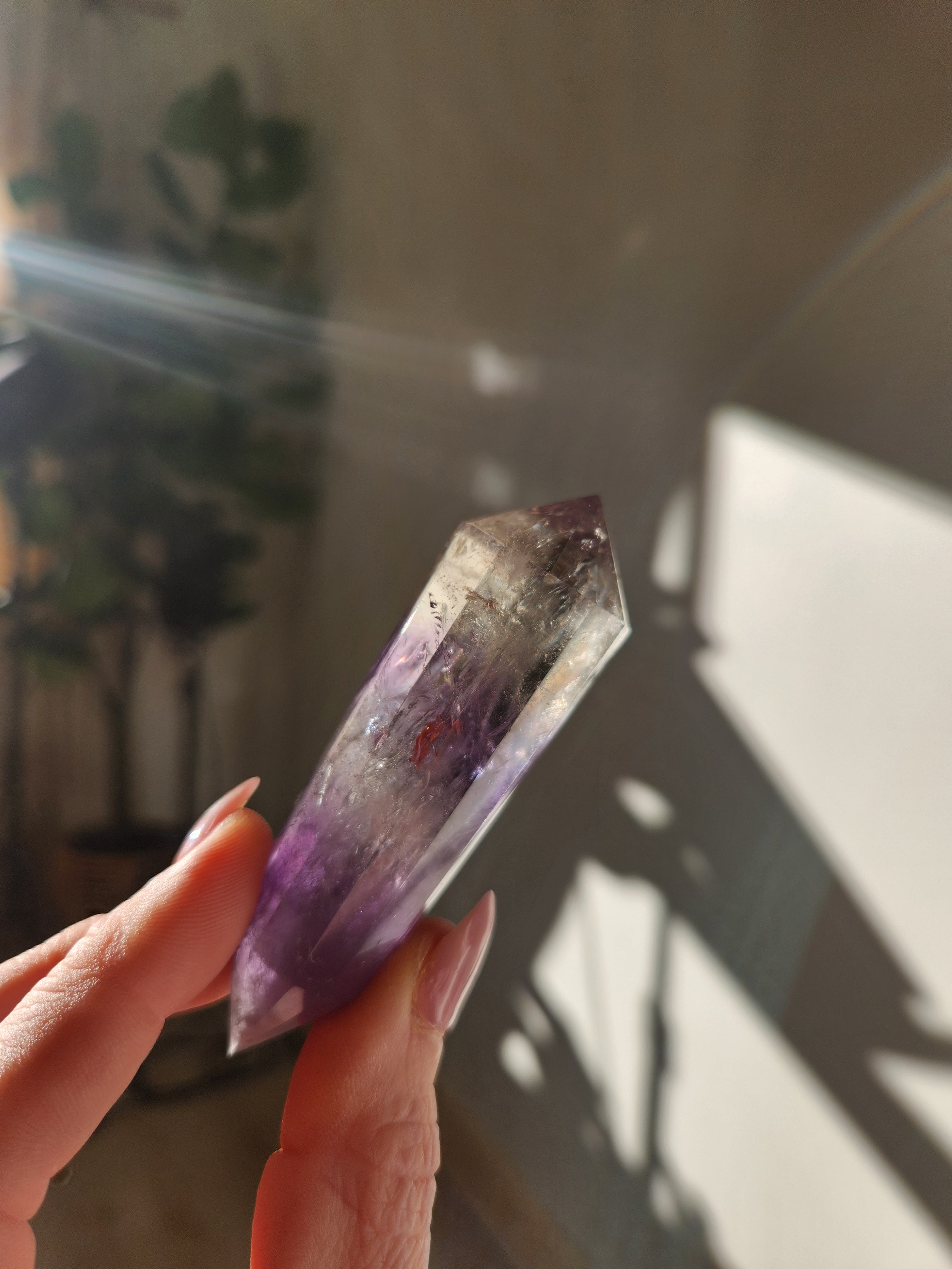 Amethyst Vogel 004