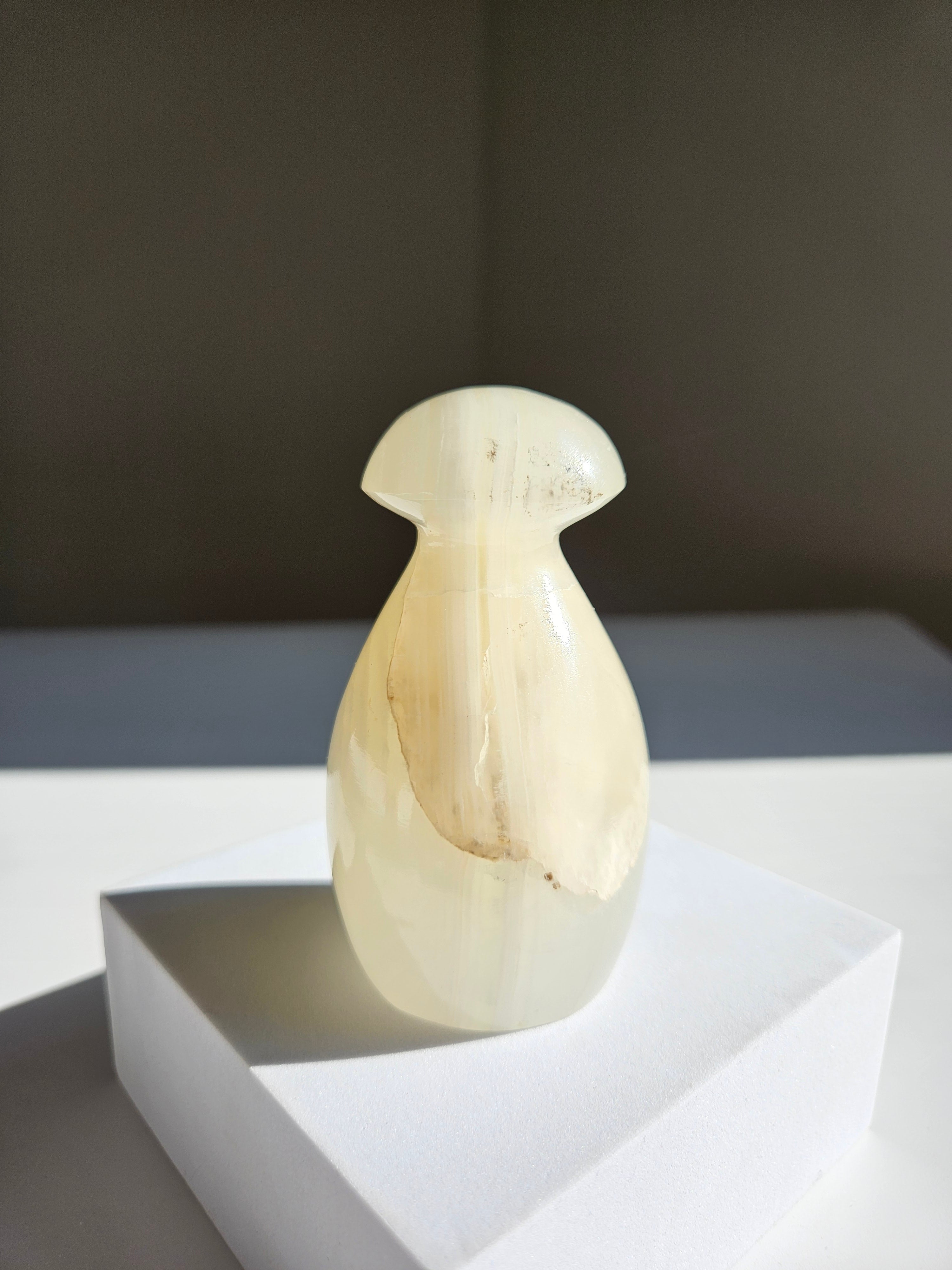 Onyx Mushroom 006