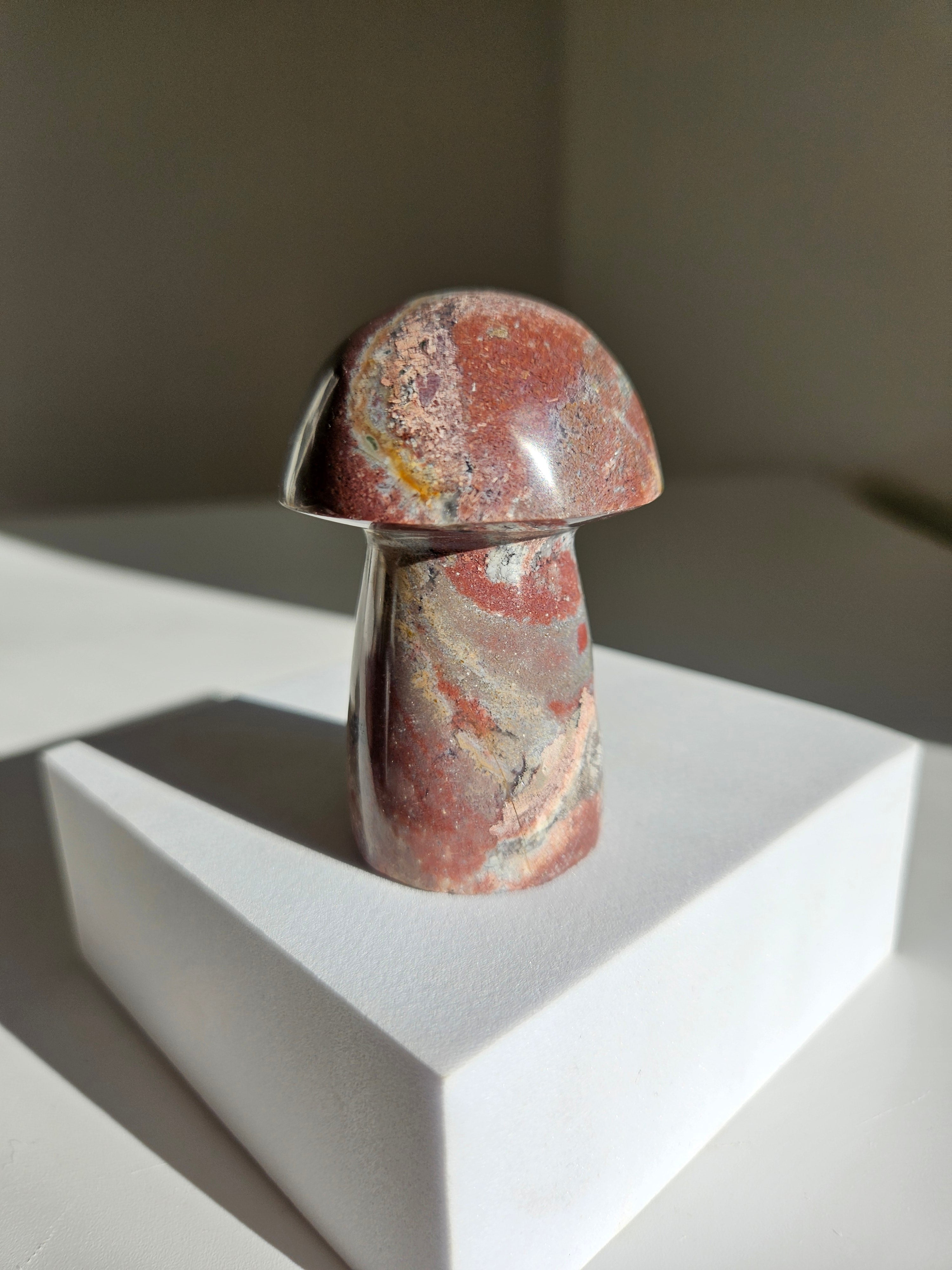 Sea jasper mushroom 001