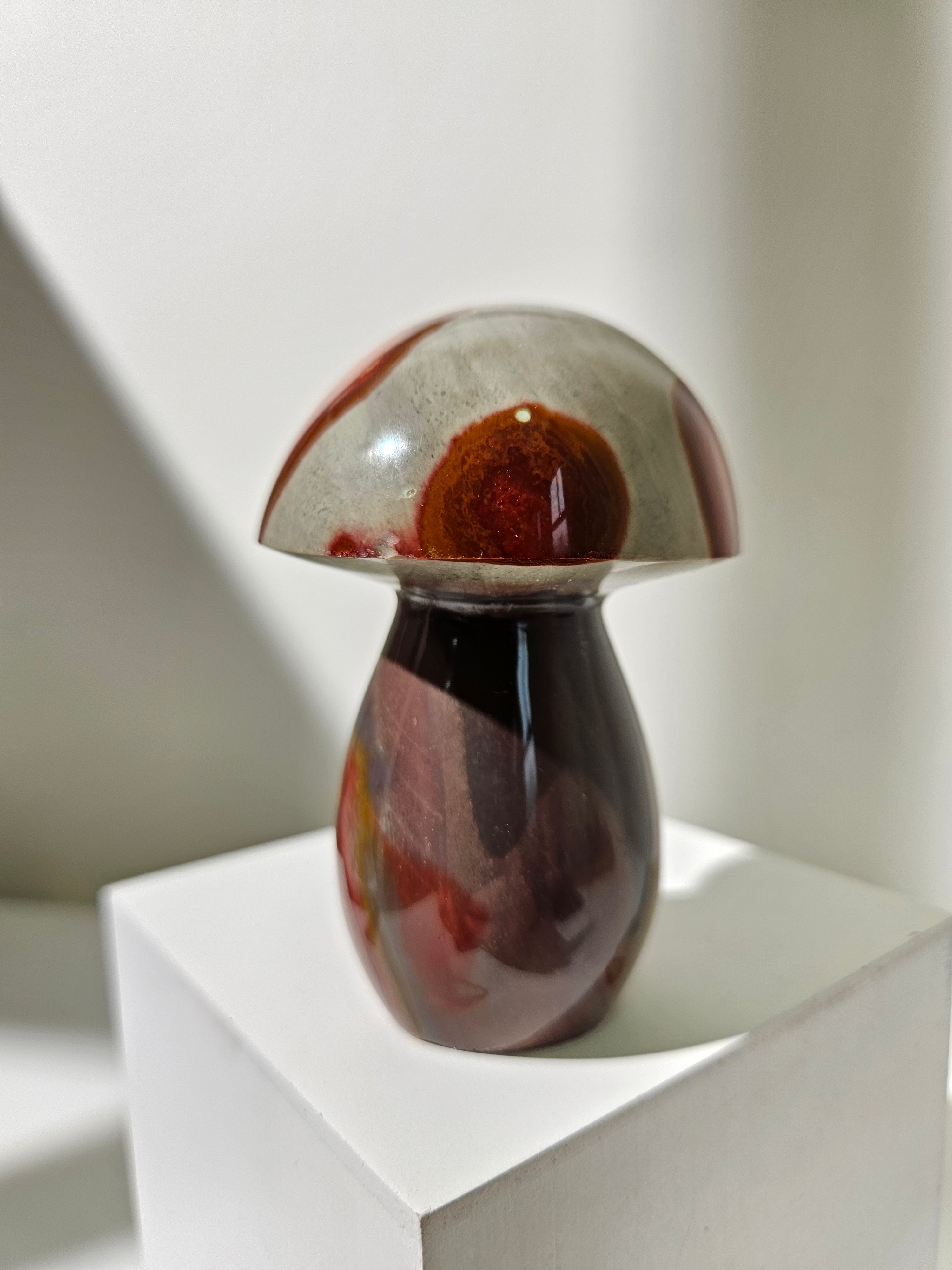 Polychrome Jasper Mushroom 002