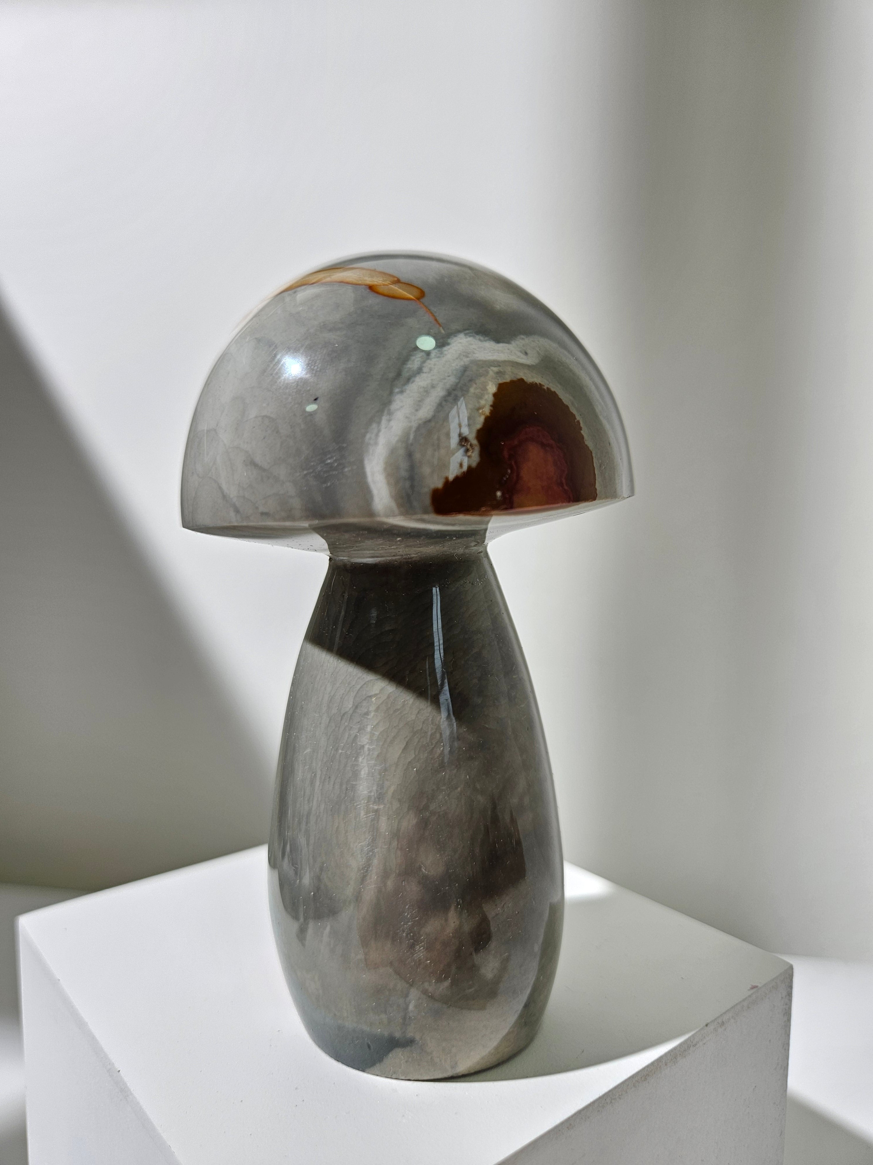 Polychrome Jasper Mushroom 006