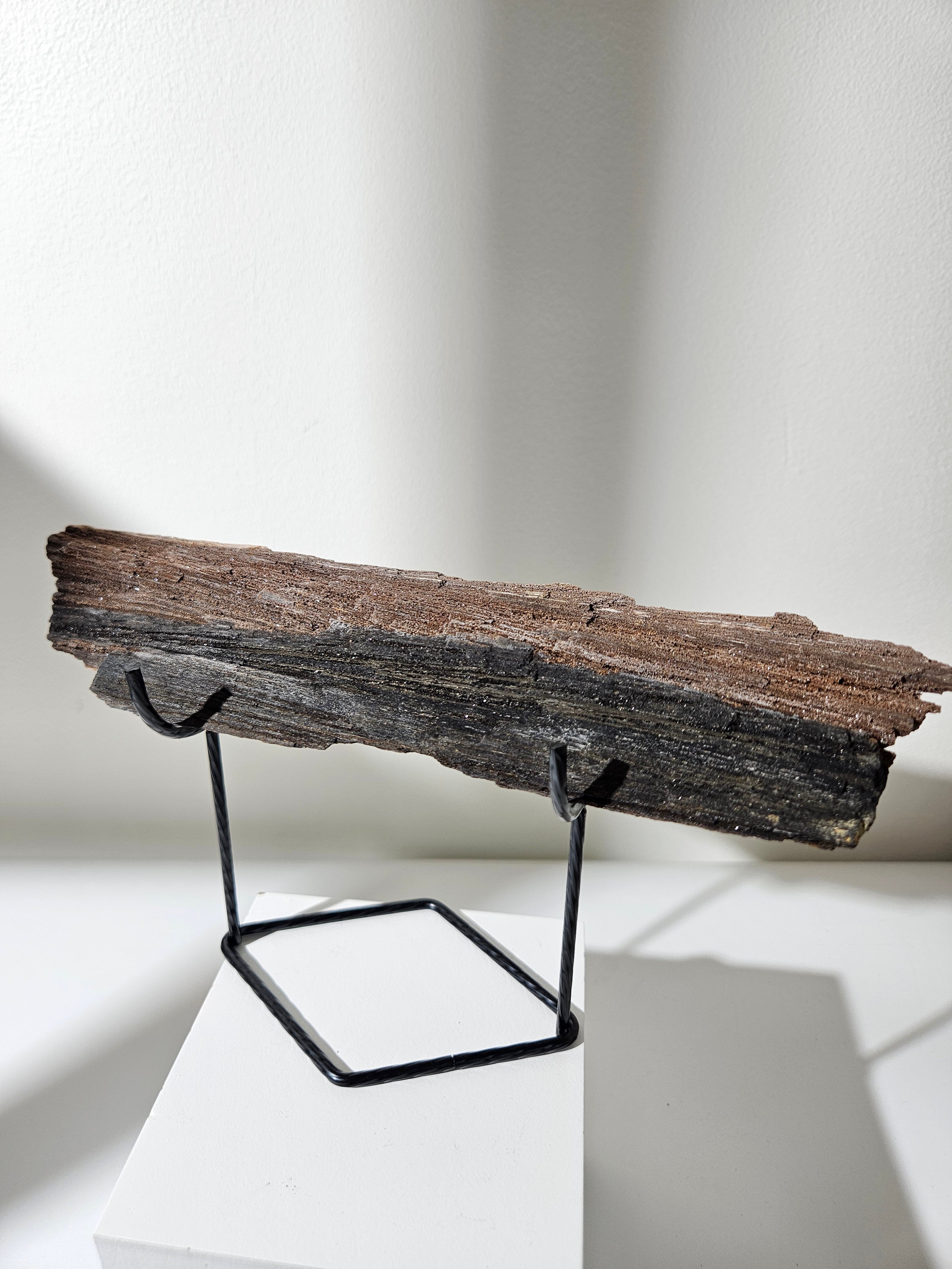 Permineralized Wood 007