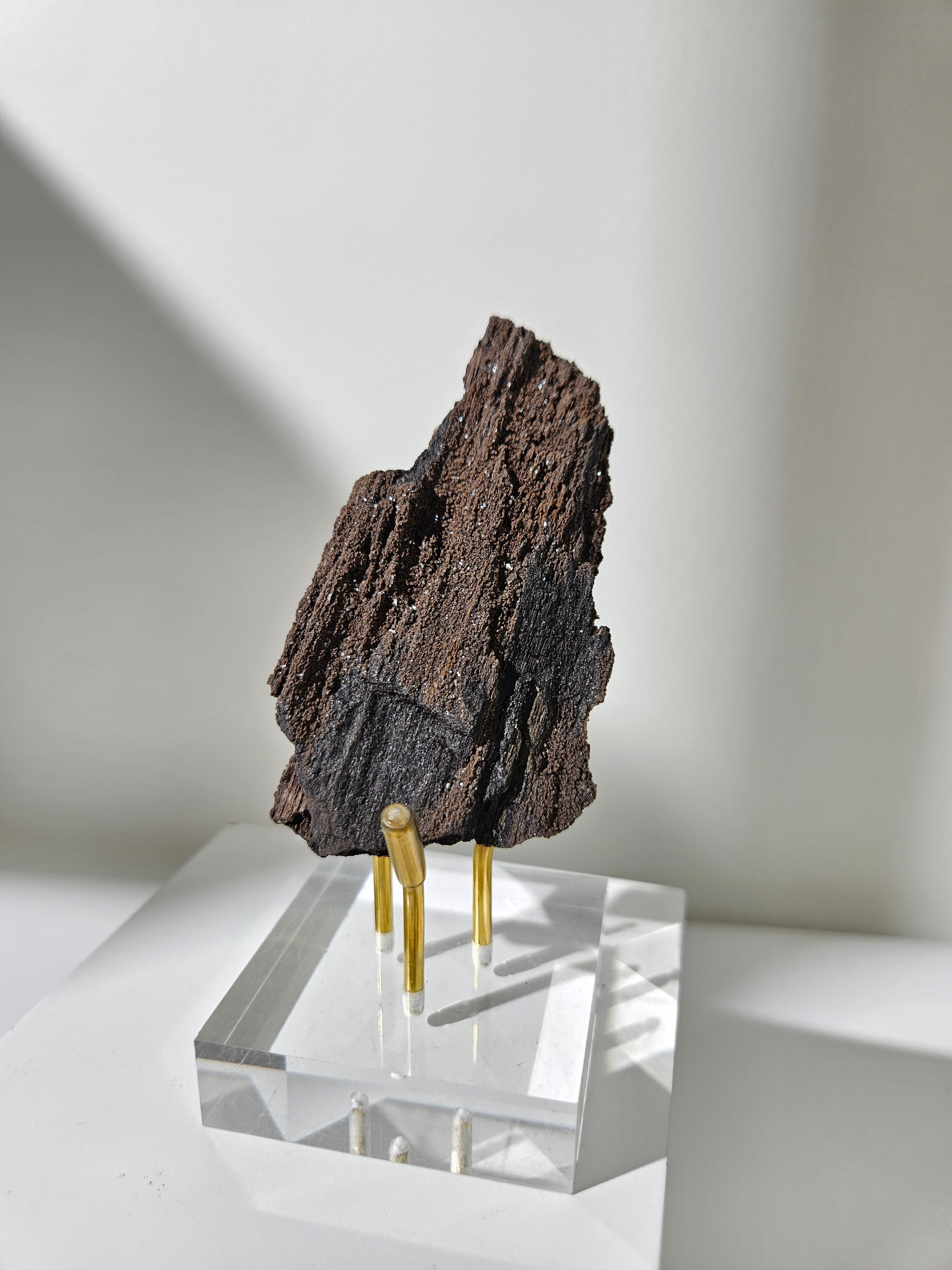 Permineralized Wood 010
