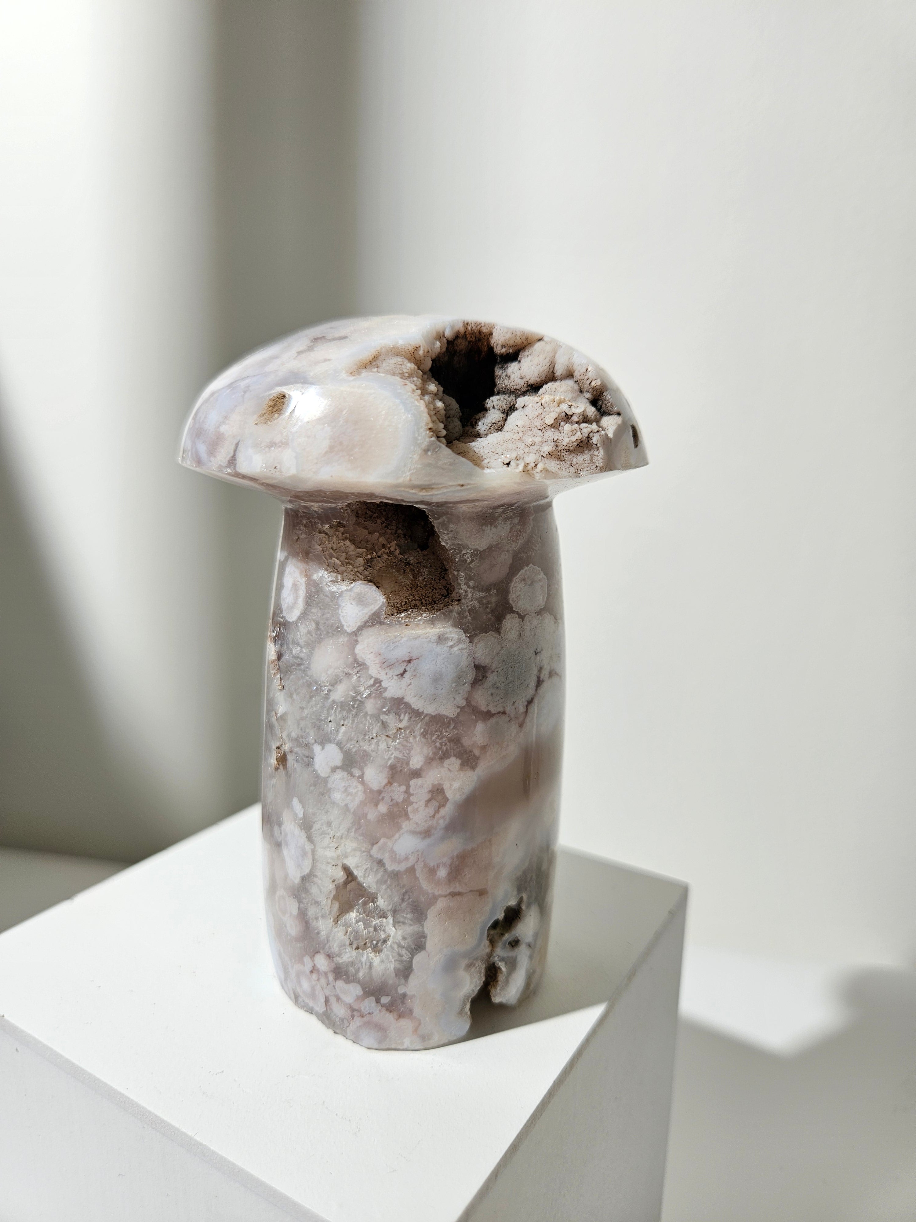 Flower Agate Mushroom 002