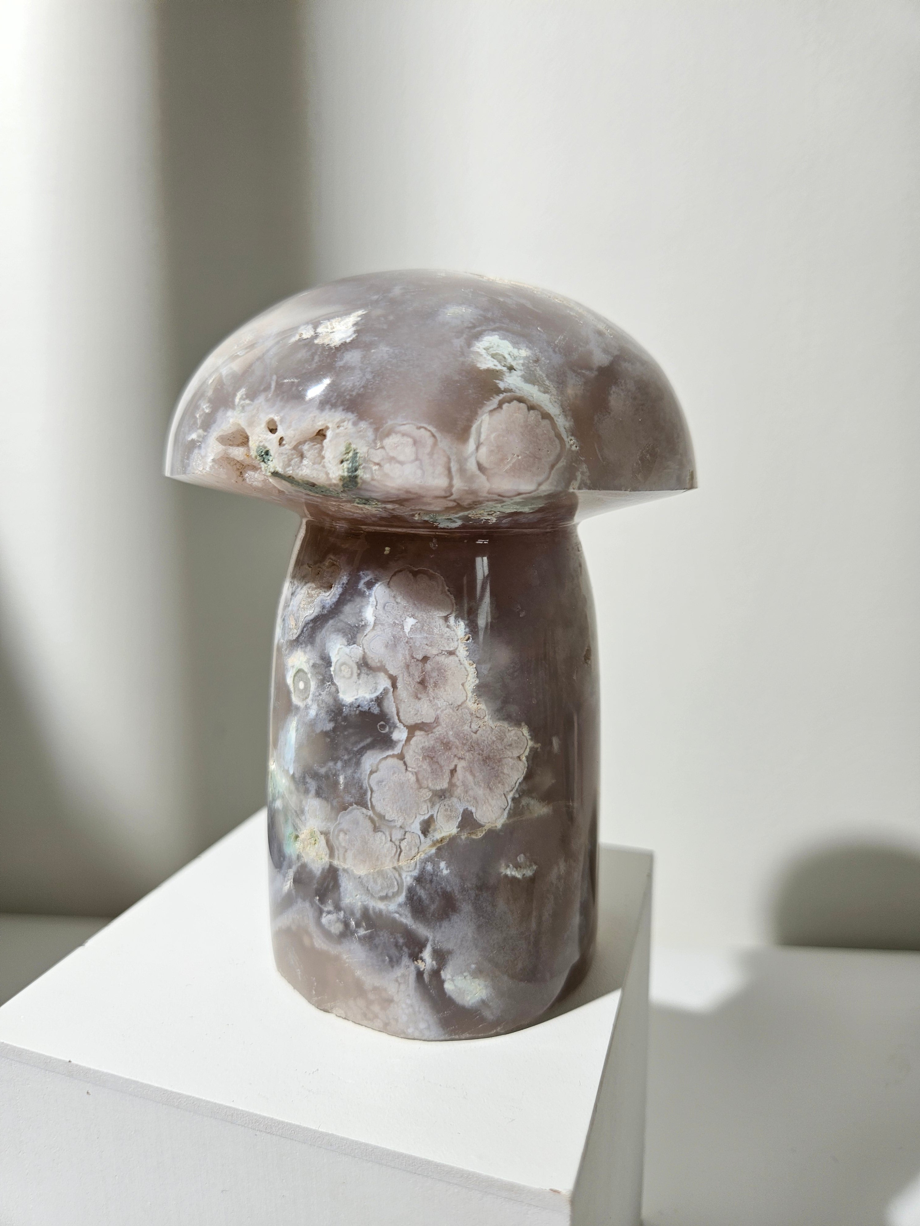 Flower Agate Mushroom 007