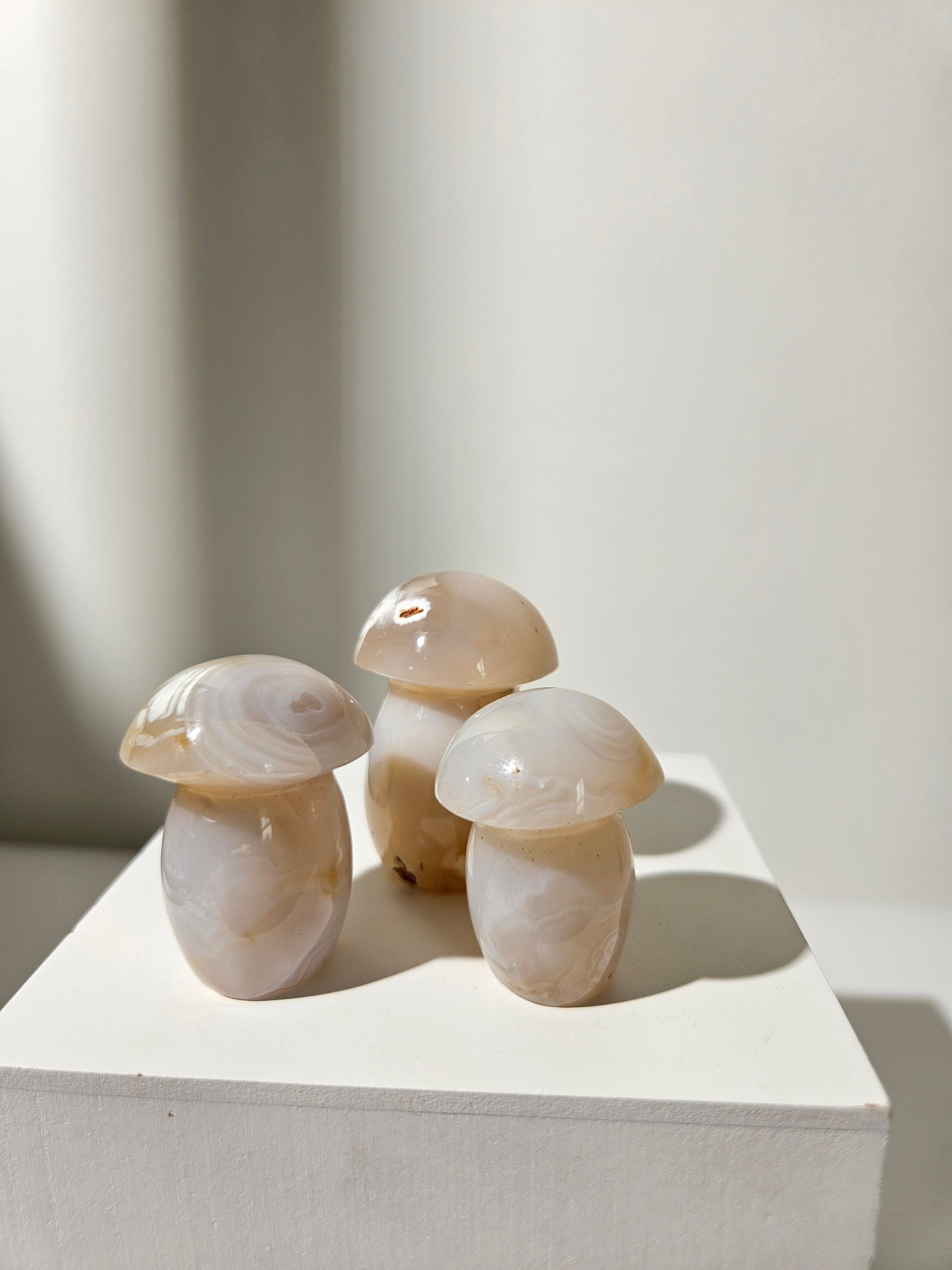 Agate Mushroom Set 002