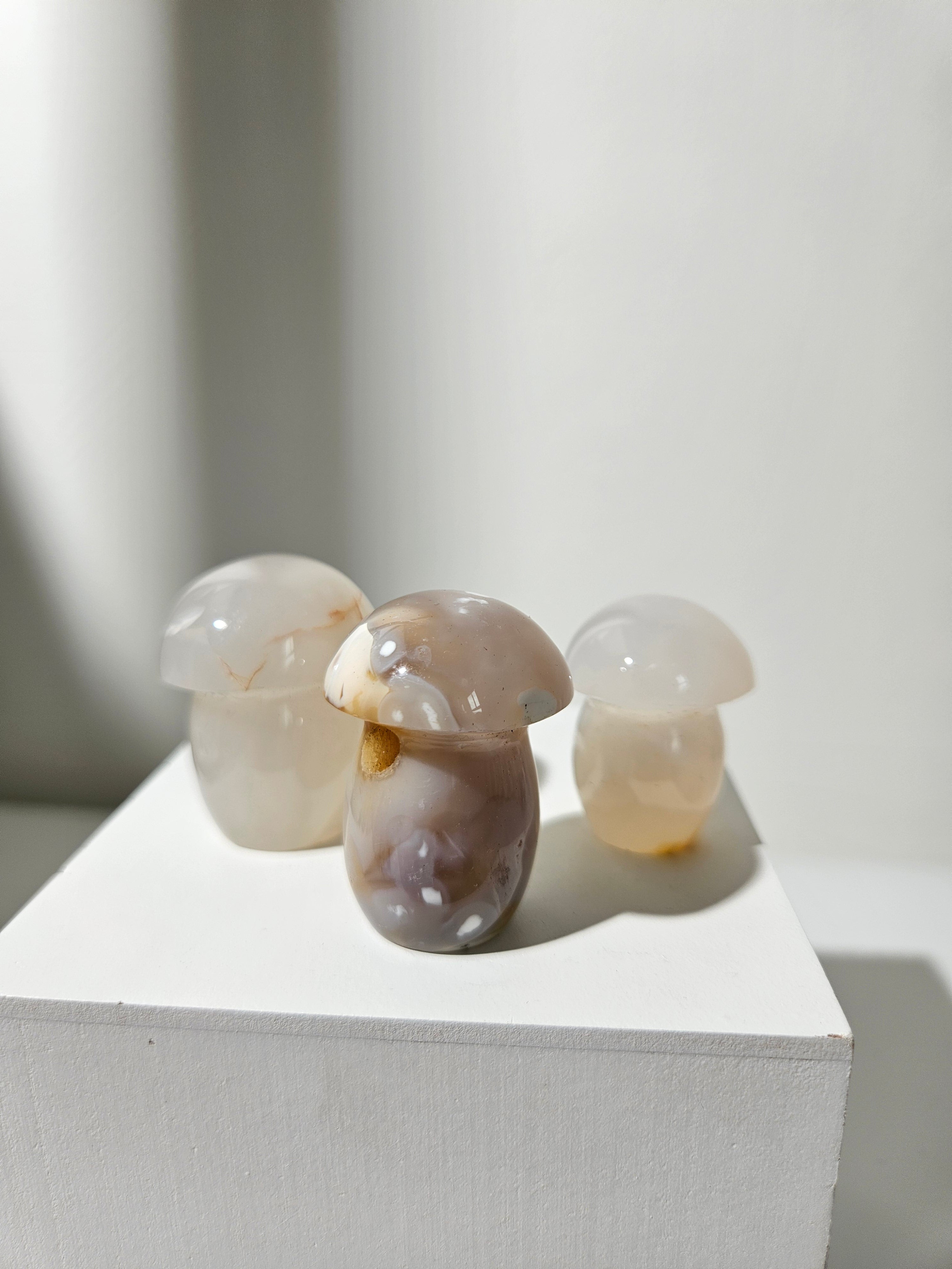 Agate Mushroom Set 003