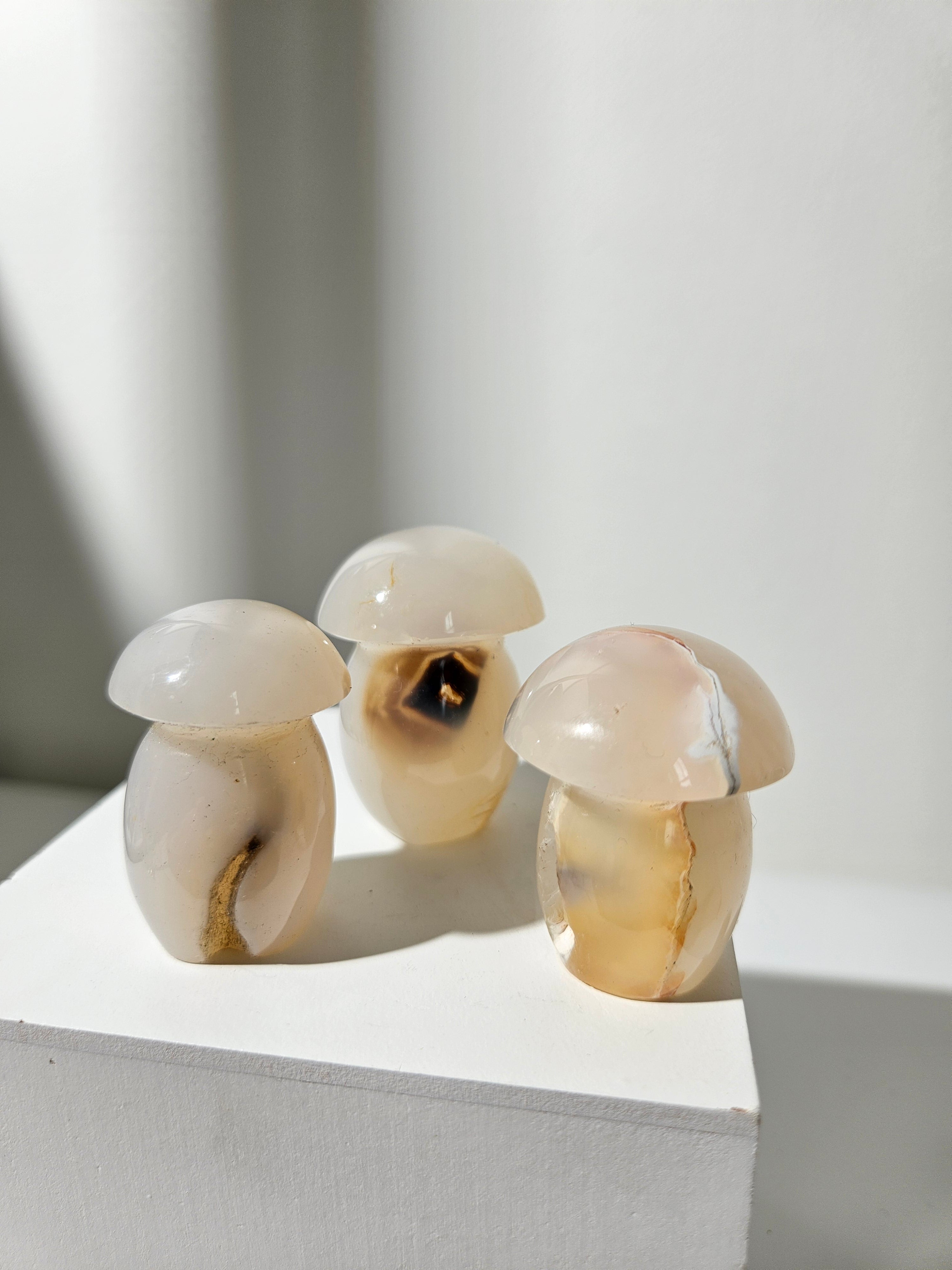 Agate Mushroom Set 004