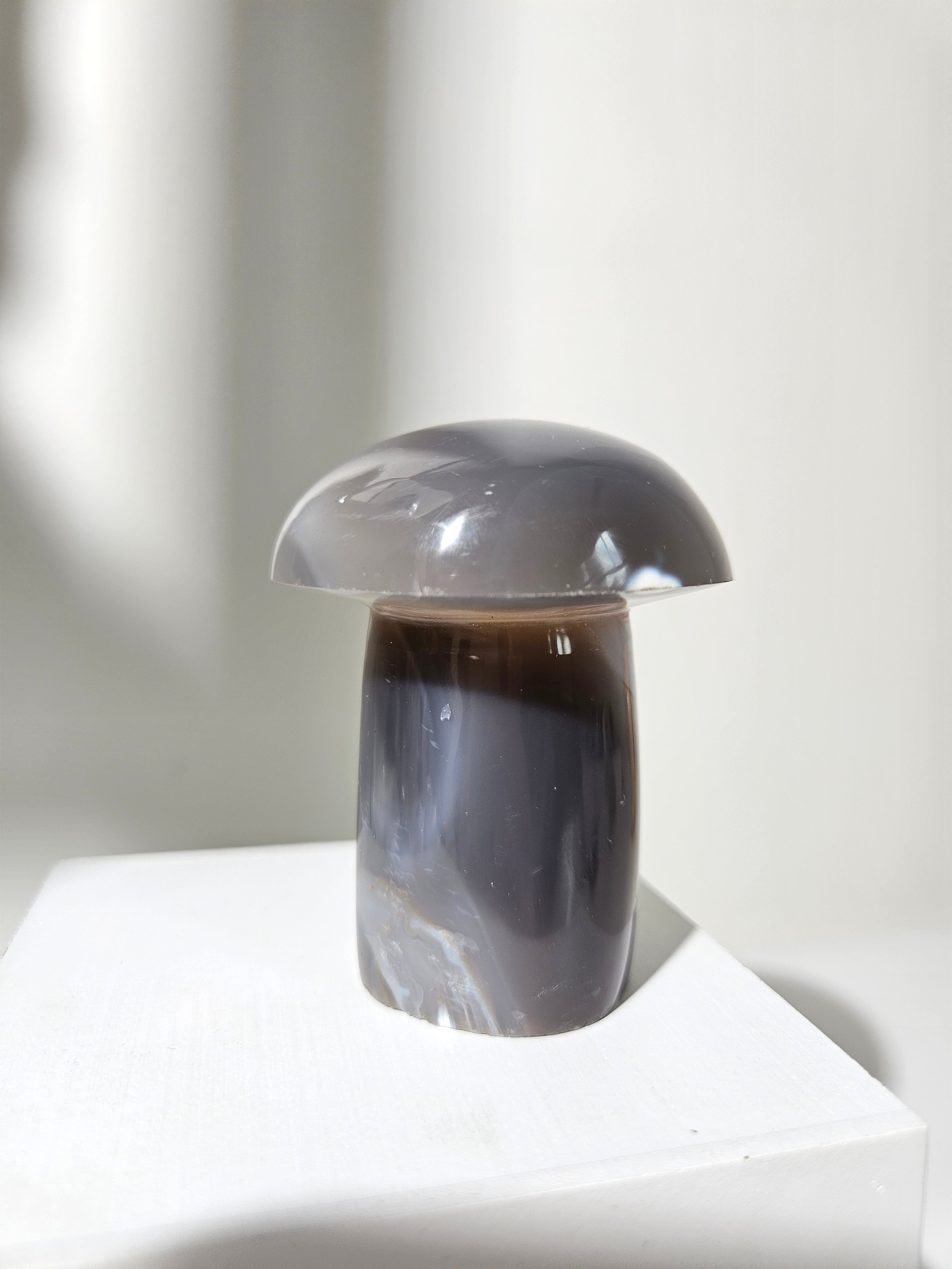 Orca Agate Mushroom 001