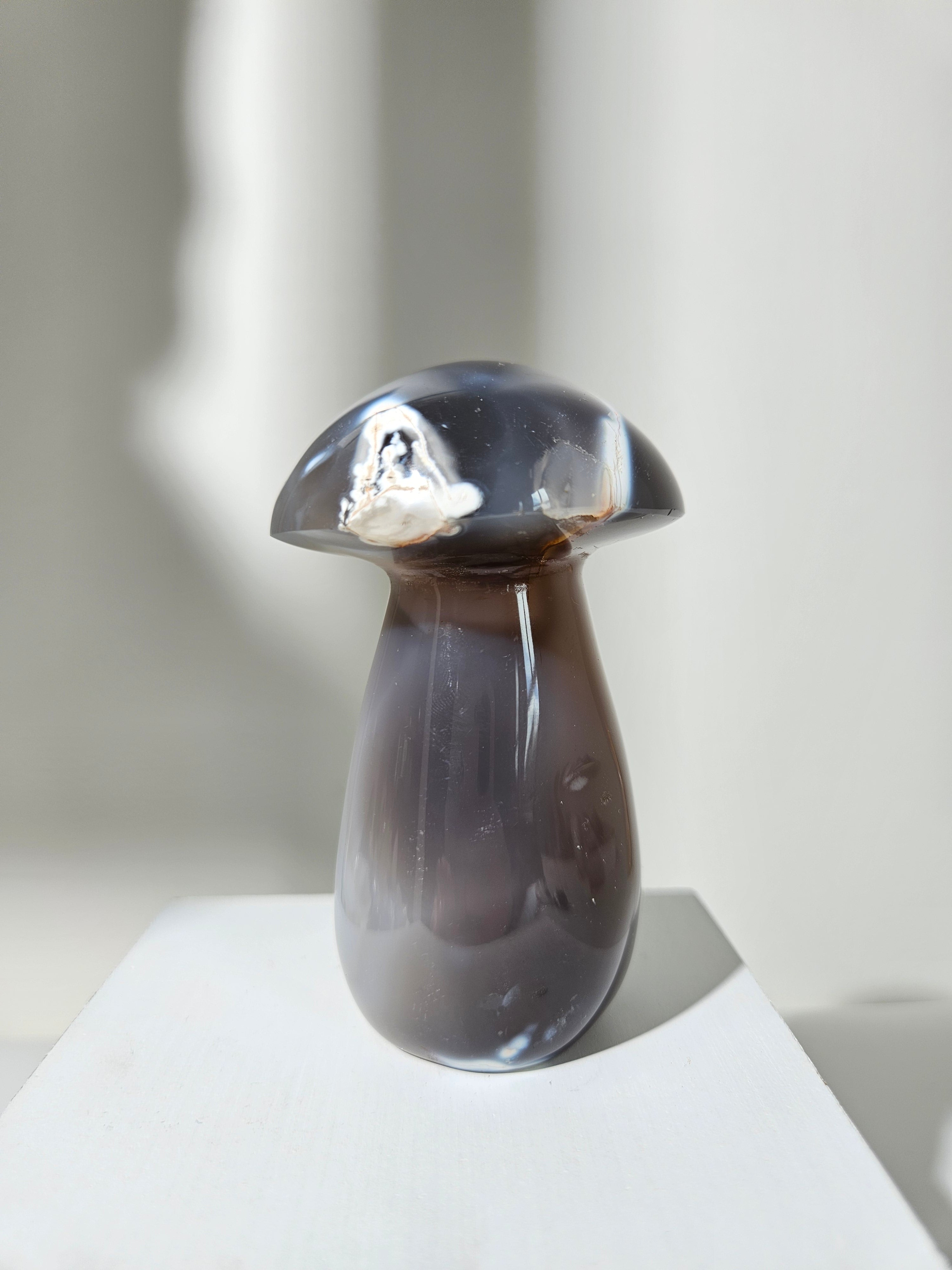 Orca Agate Mushroom 002