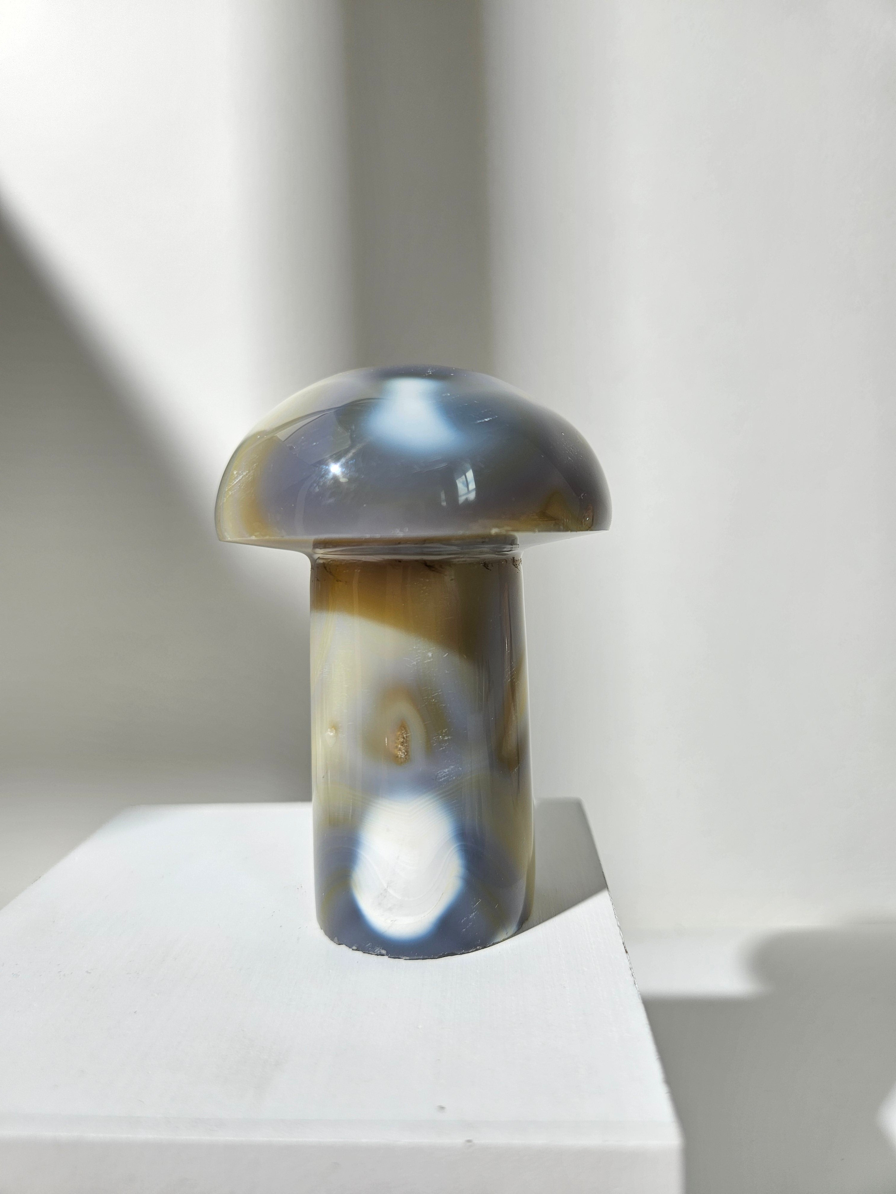 Orca Agate Mushroom 004
