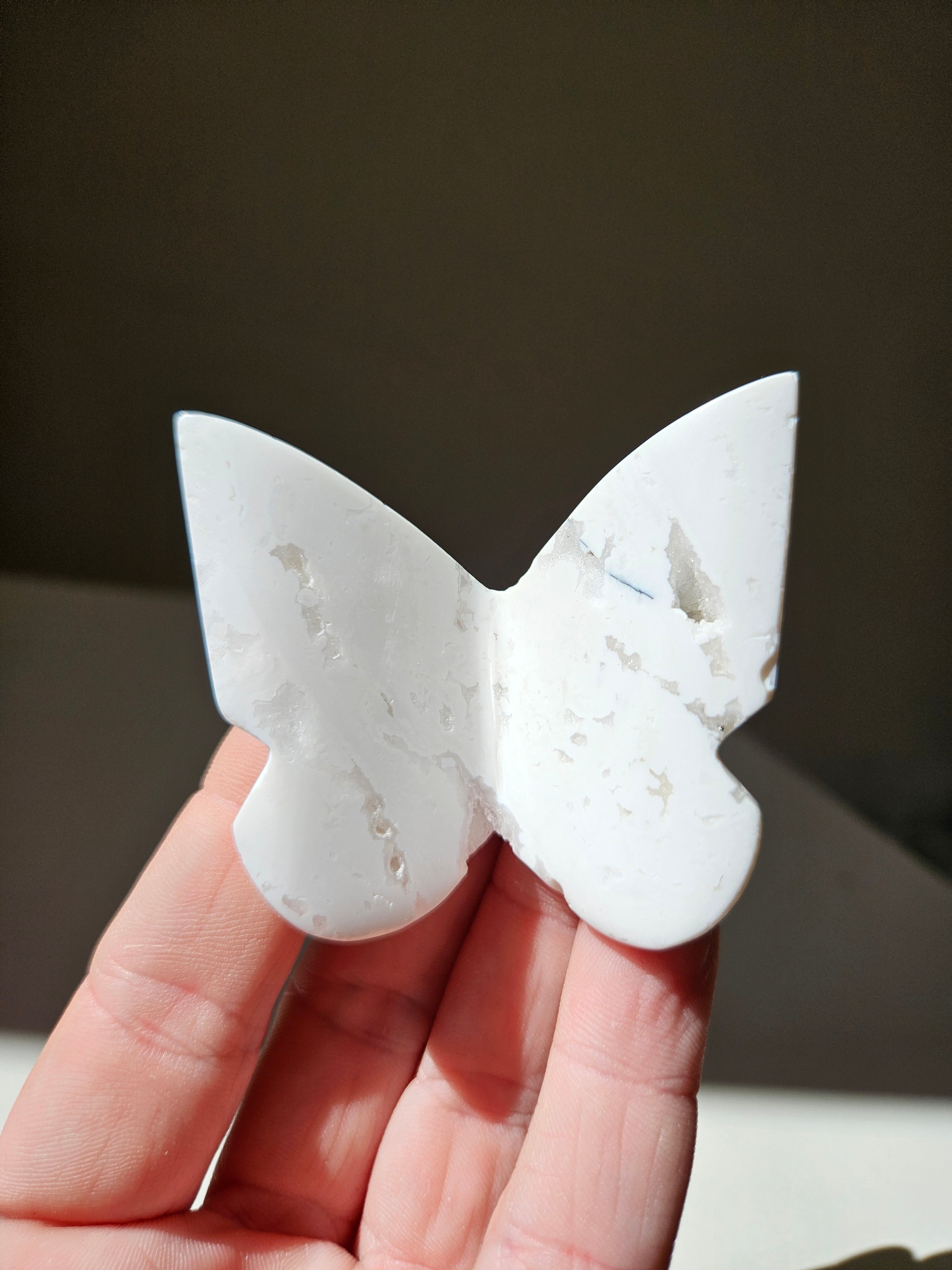Plume Agate Butterfly 005