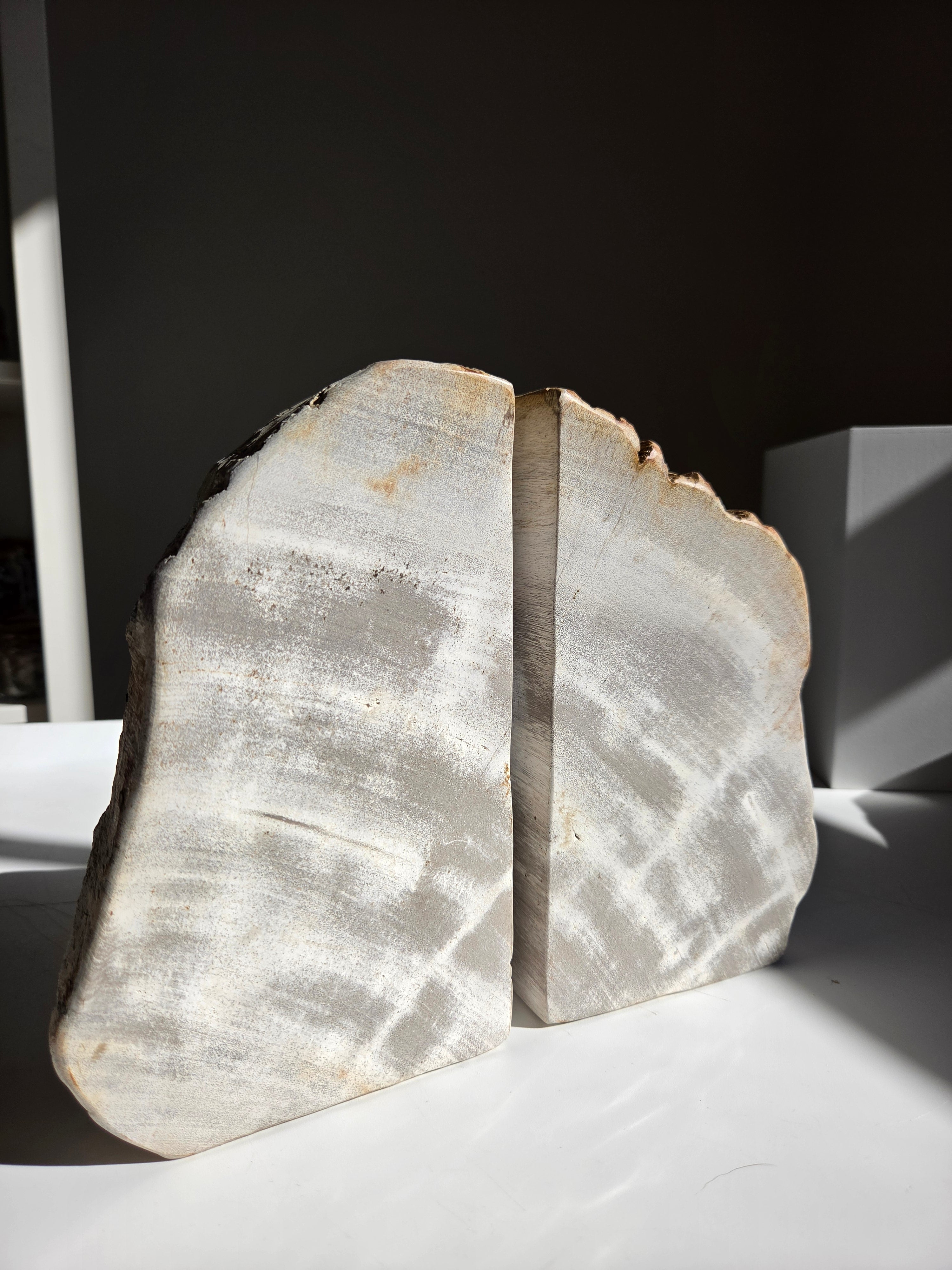 Petrified Wood Bookends 001