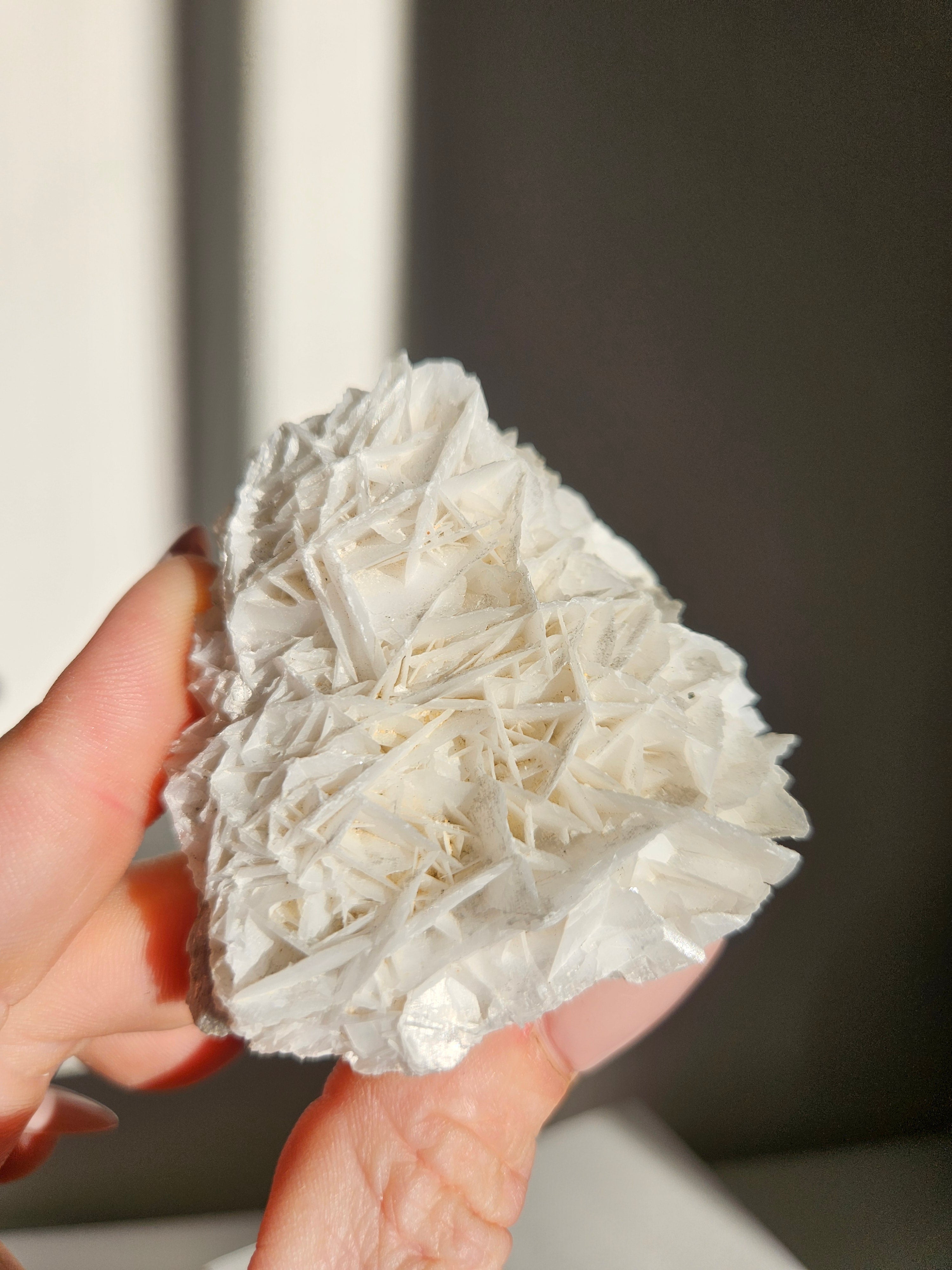 Bladed 'Rose' Calcite 002