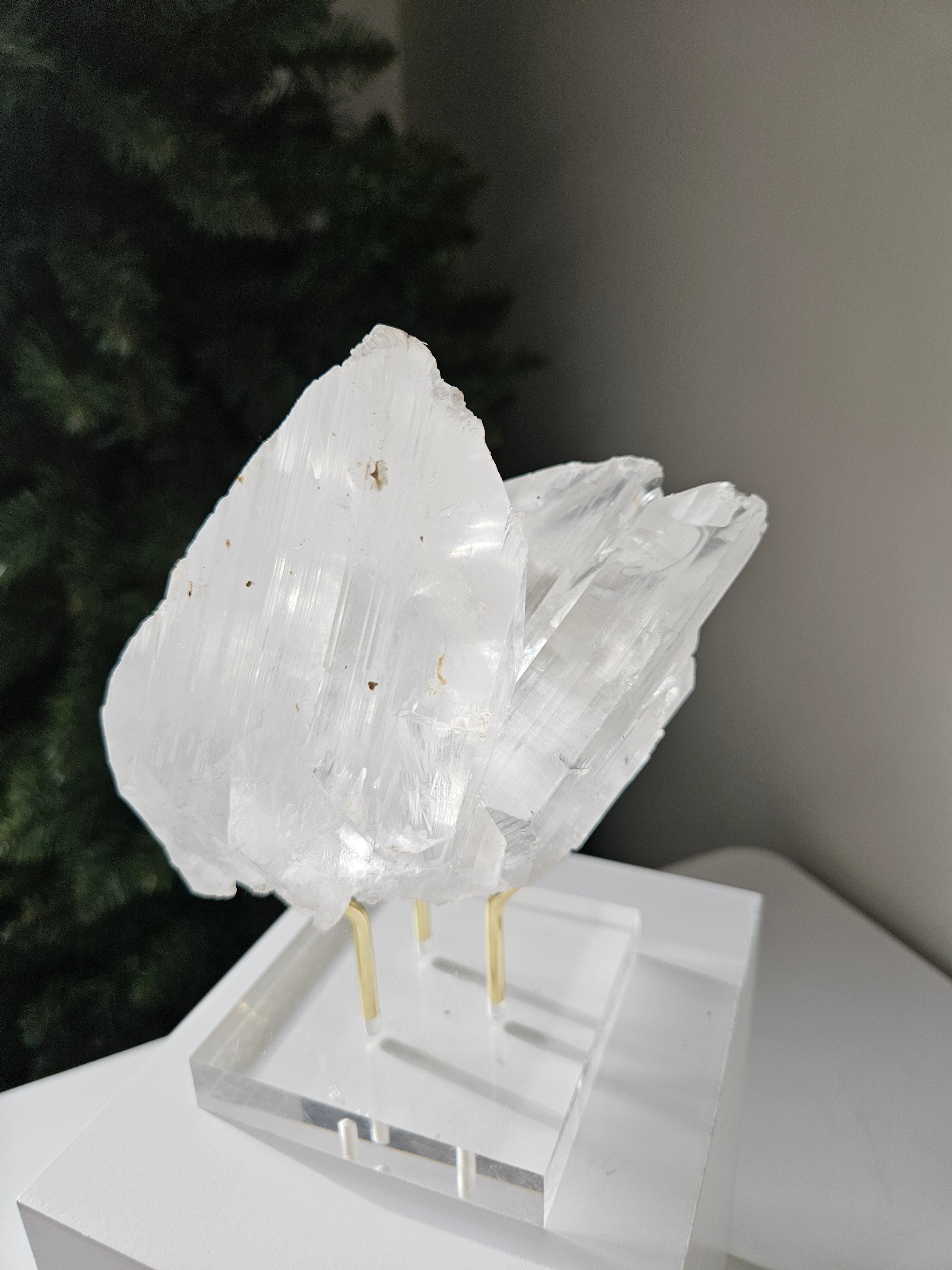 Naica Selenite 004