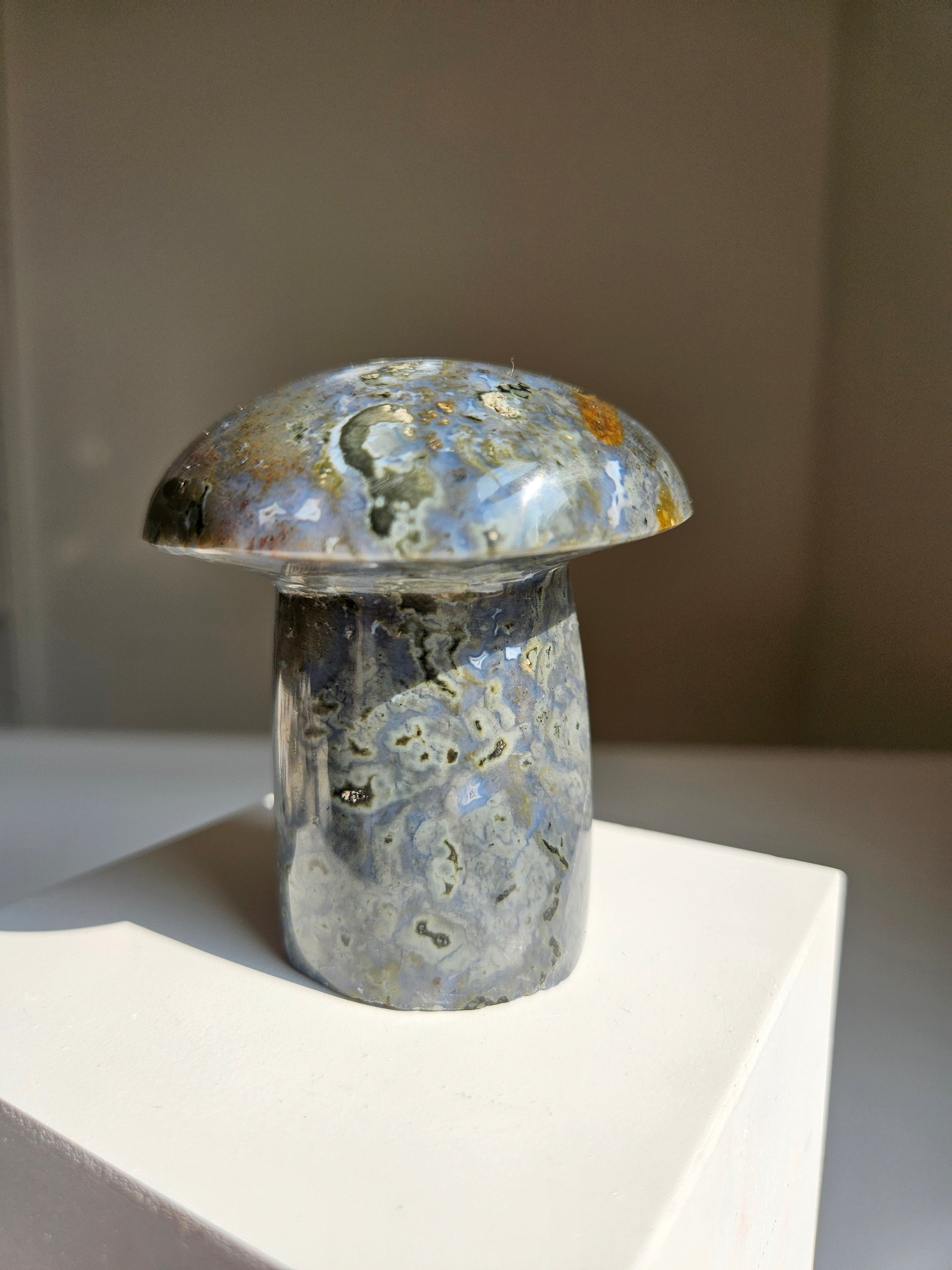 Sea jasper mushroom 003