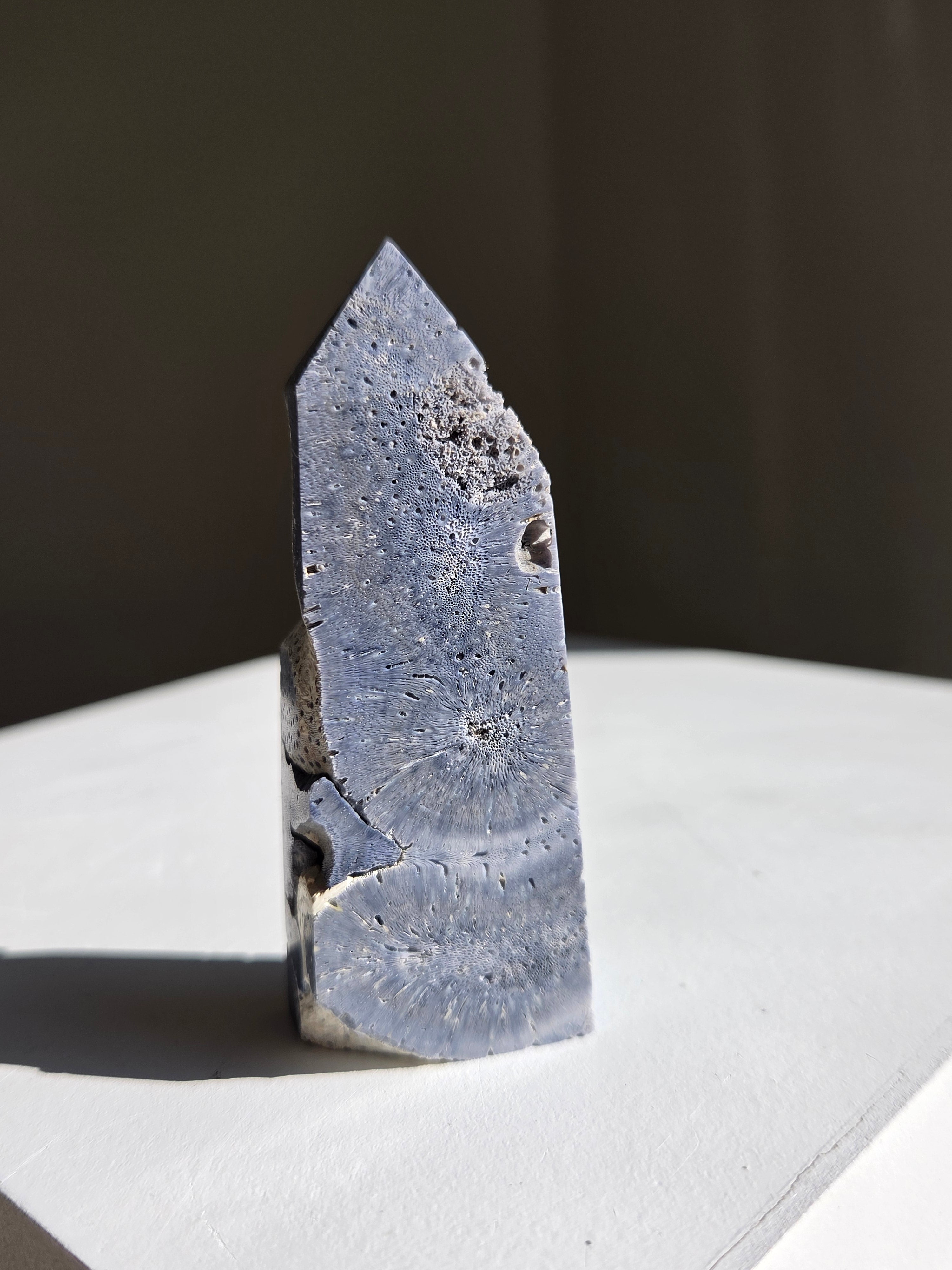 Blue Coral Tower 006