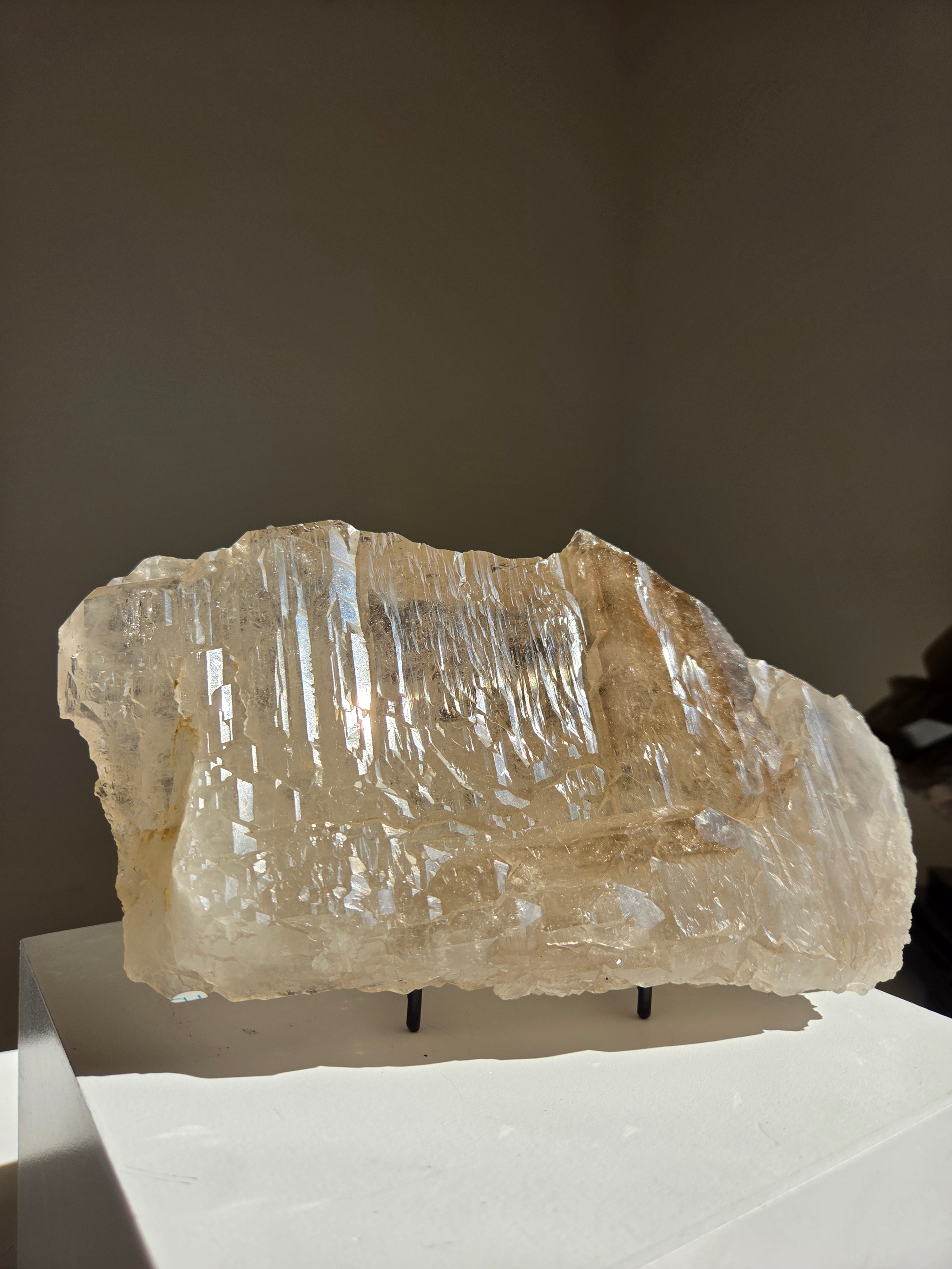 Elestial Smoky Quartz "Plate"