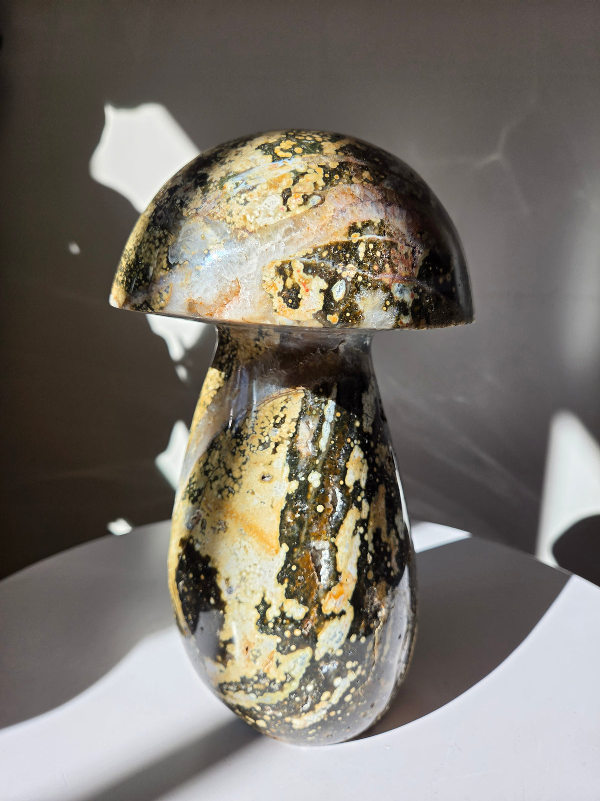 XL Sea Jasper Mushroom 003