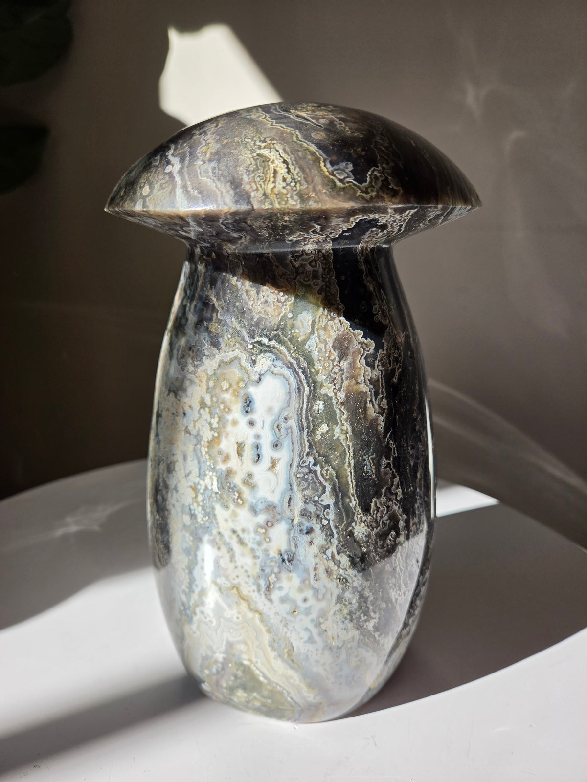 XL Sea Jasper Mushroom 004