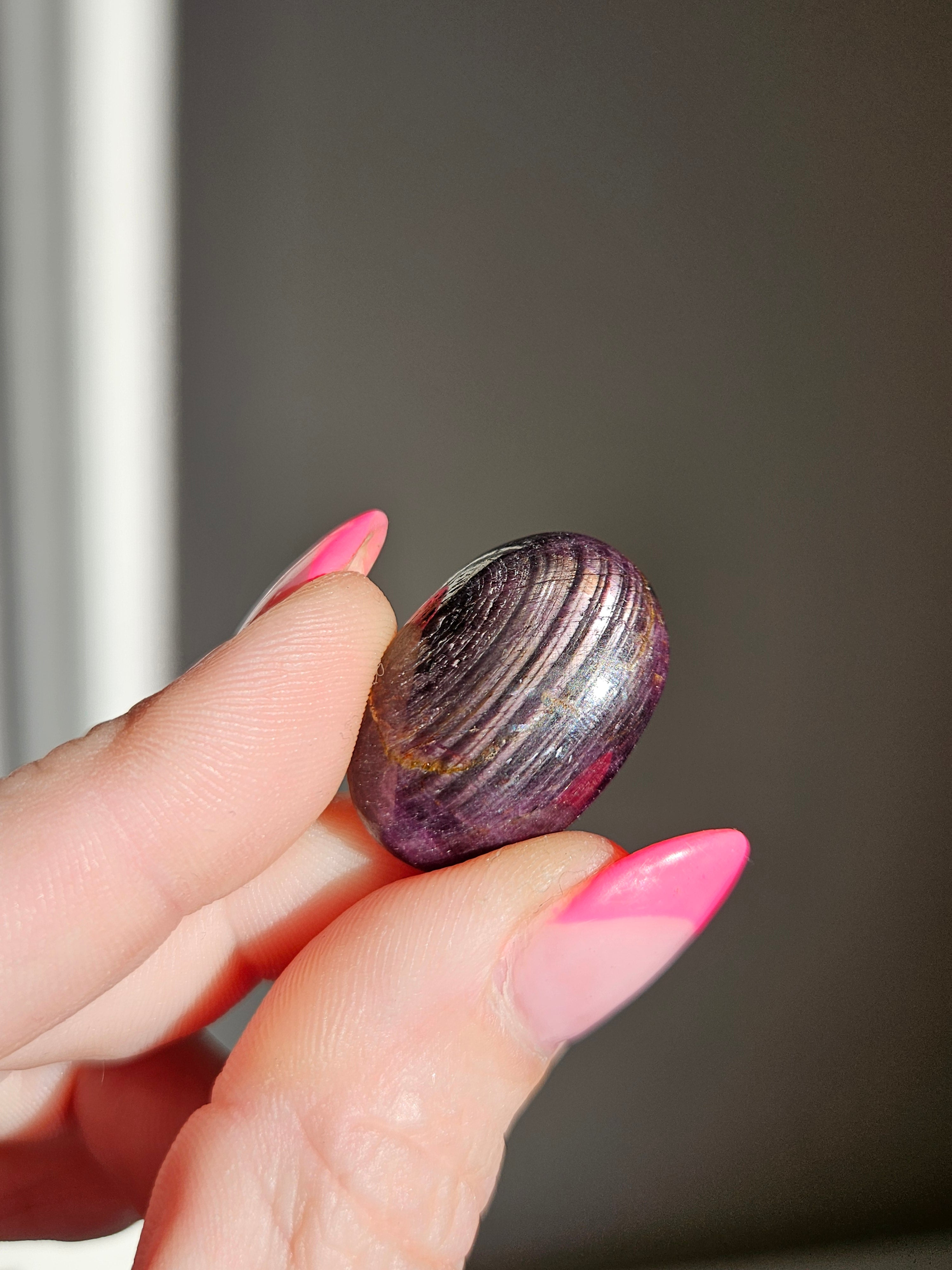 Star Ruby Palmstone 010