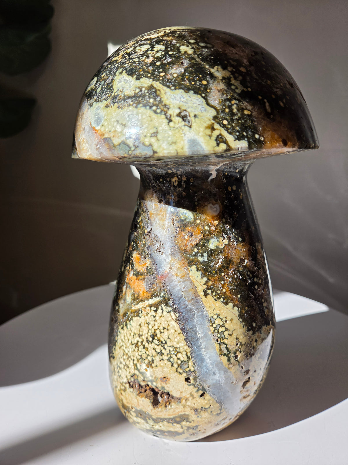 XL Sea Jasper Mushroom 003